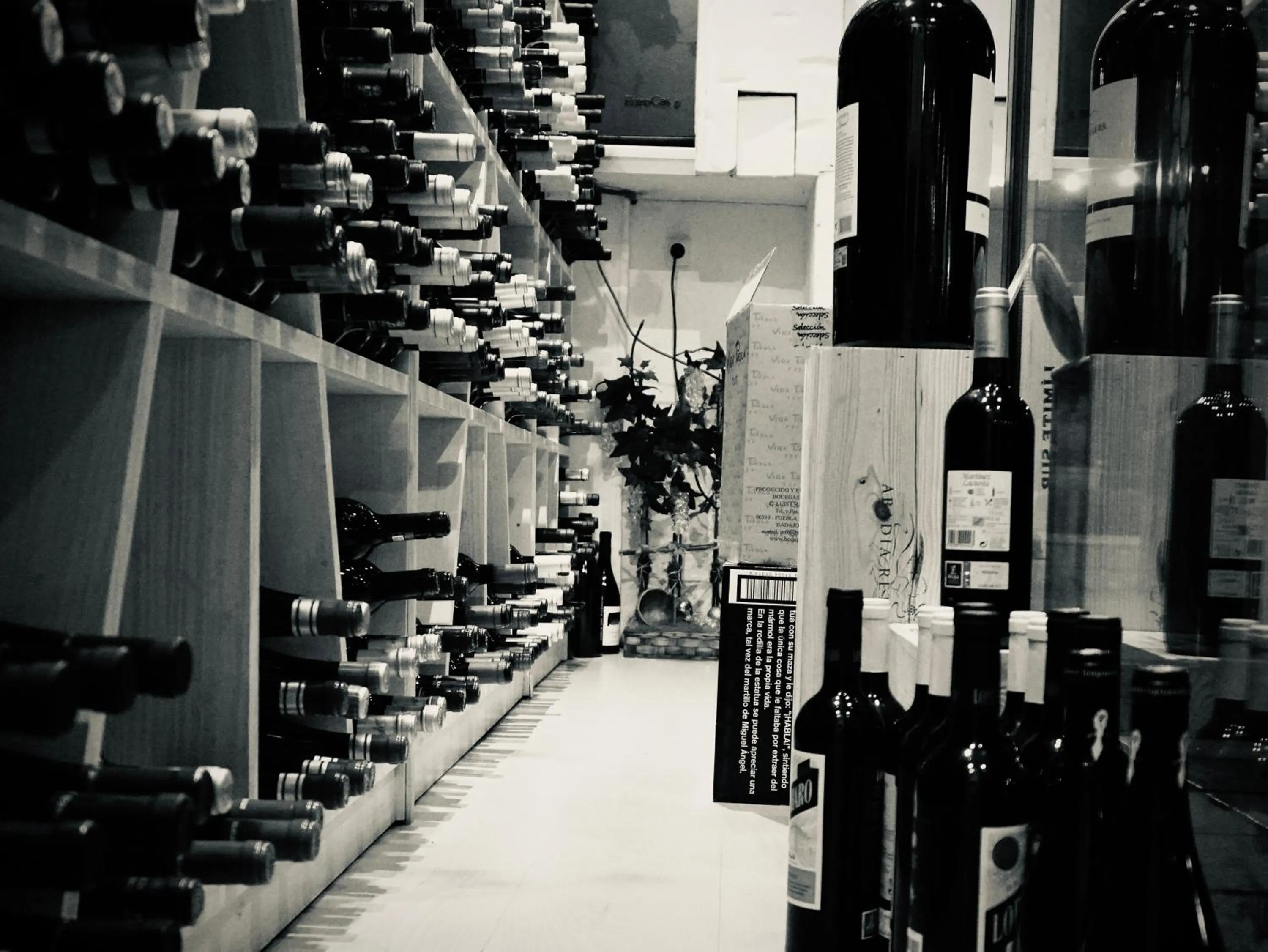 Lounge or bar in Villa Xarahiz