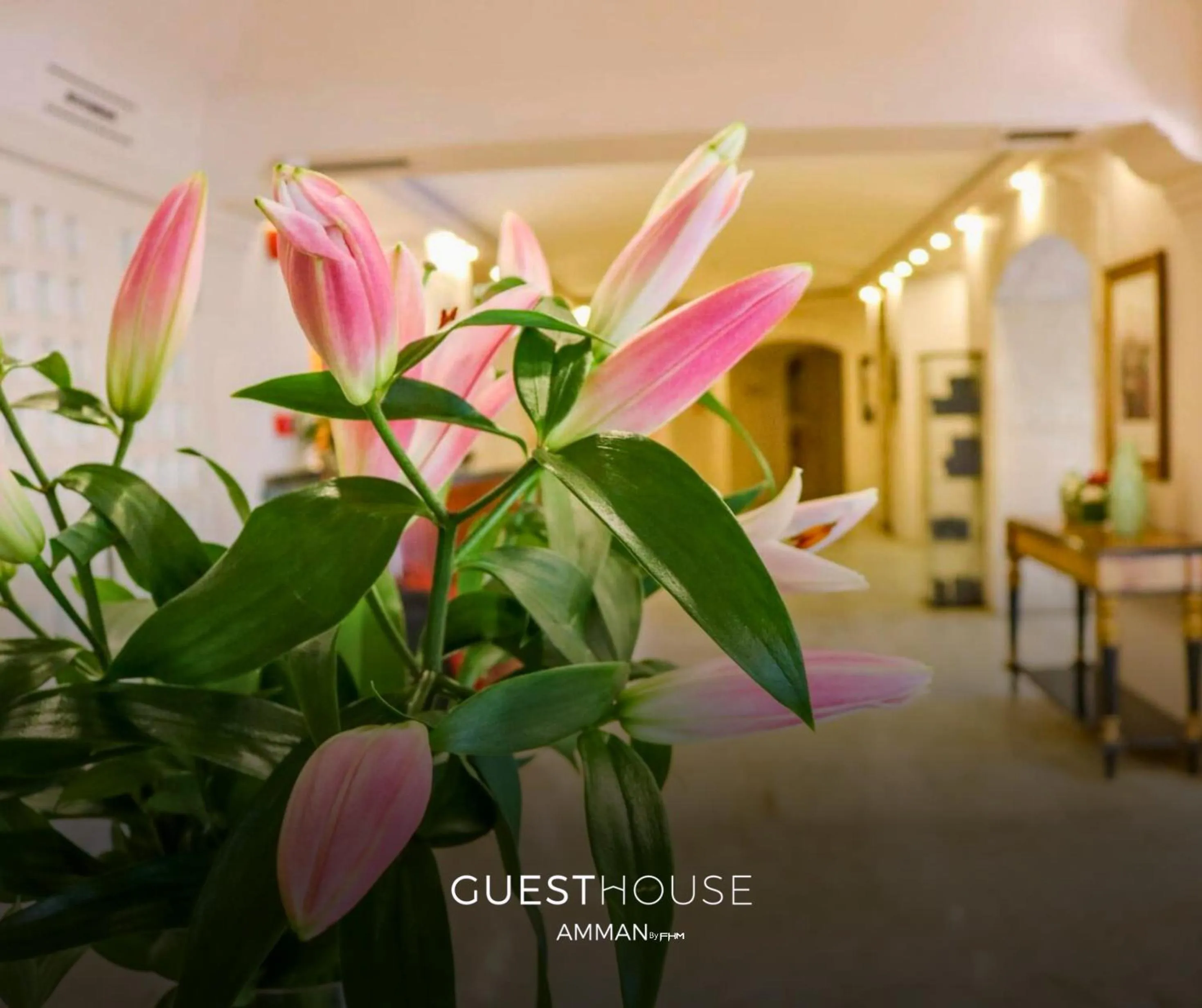 internet in Guest House Hotel Amman by FHM