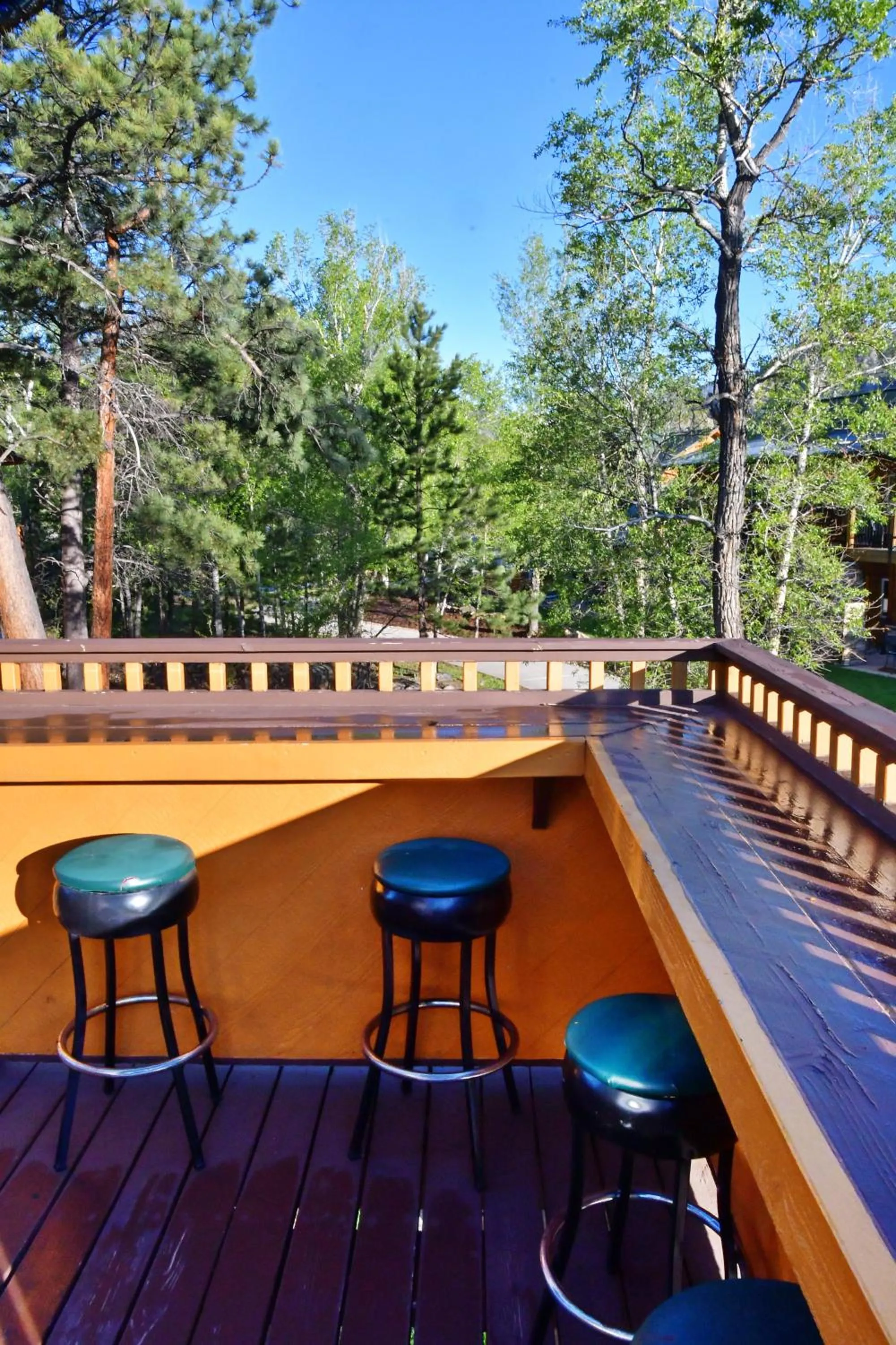 View (from property/room) in Murphy's River Lodge