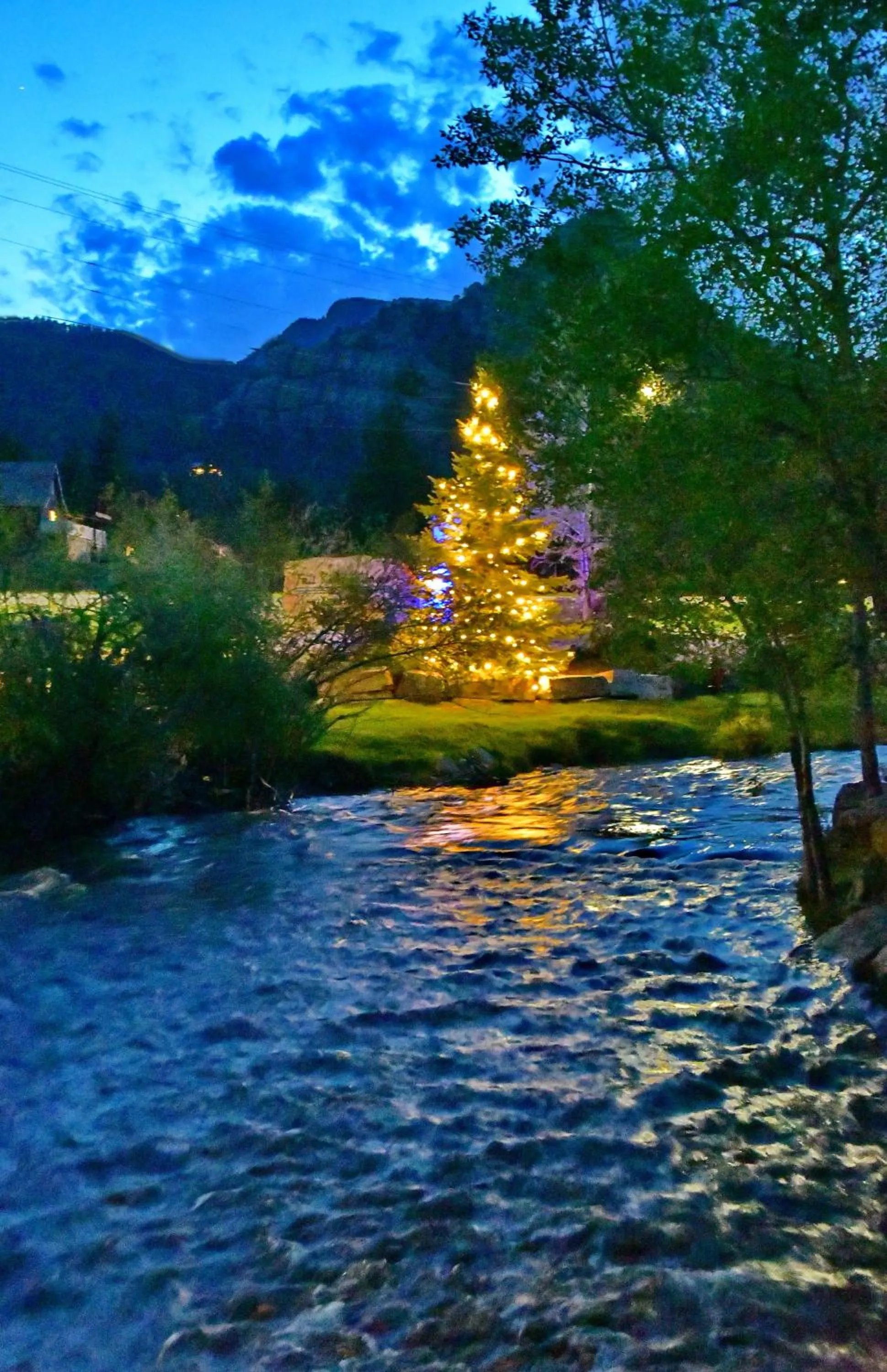 River view in Murphy's River Lodge