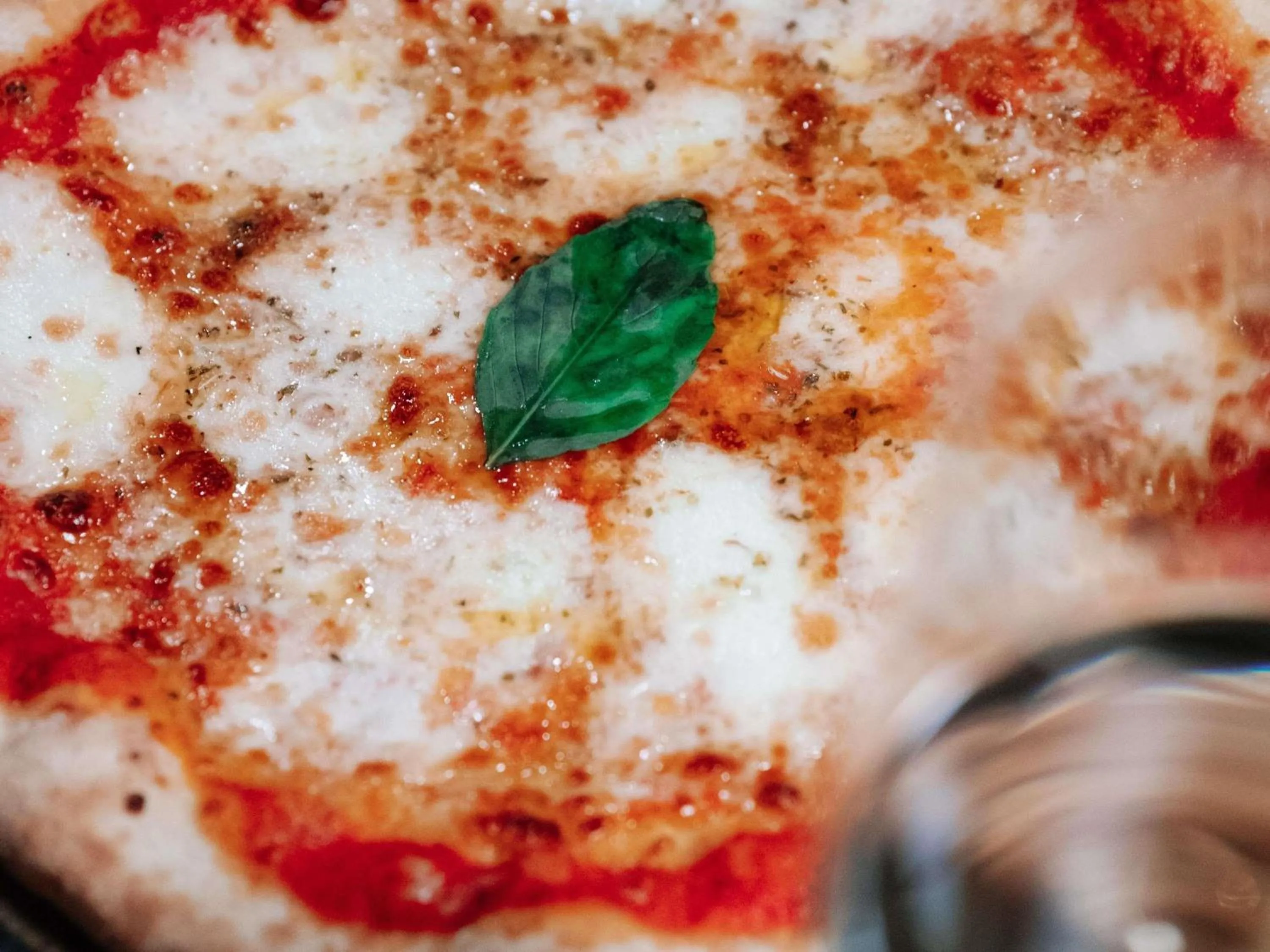 Restaurant/places to eat in Fairmont St Andrews, Scotland