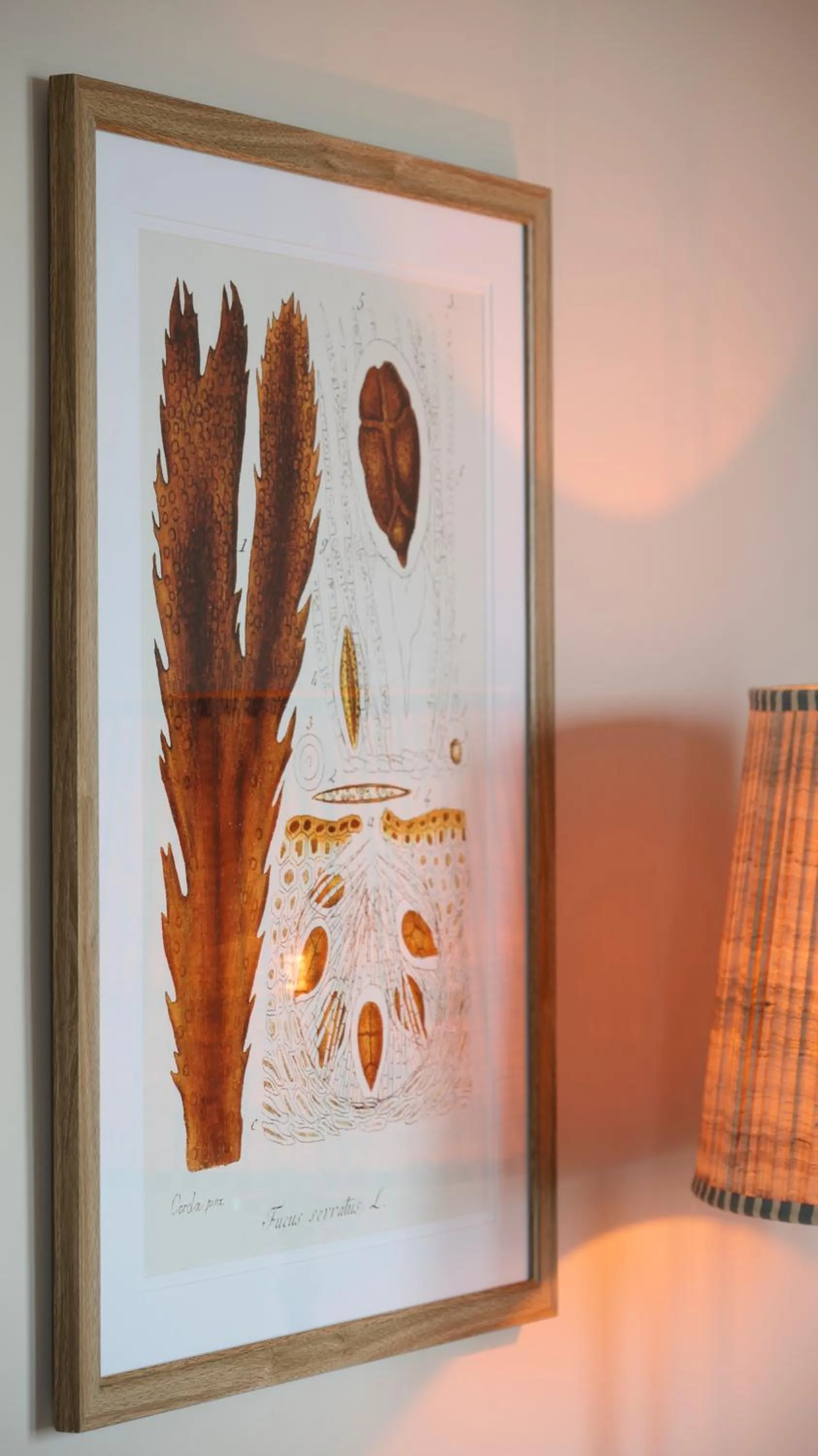 Decorative detail in Hotel Du Vin, St Andrews