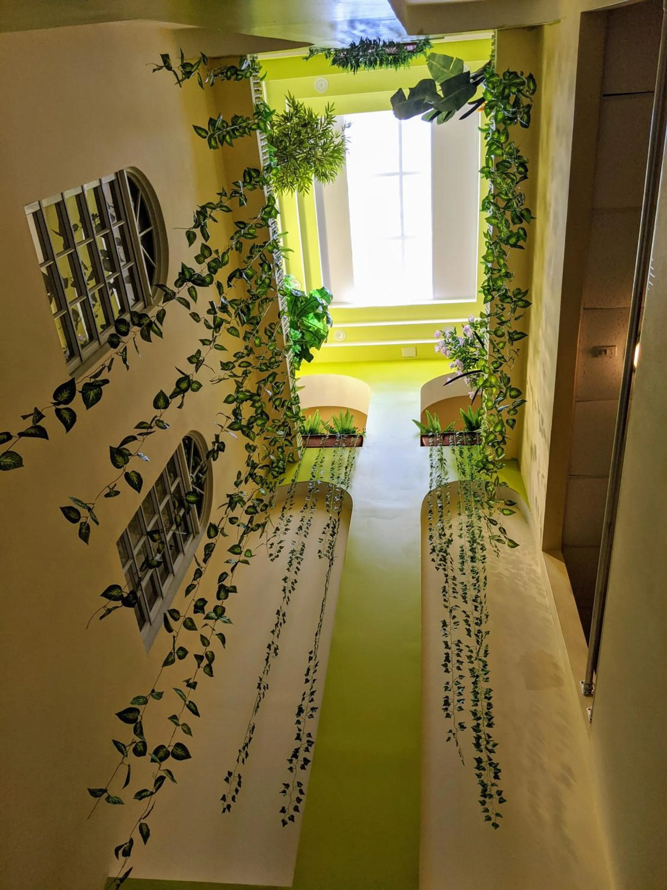 Garden in Hotel San Jorge