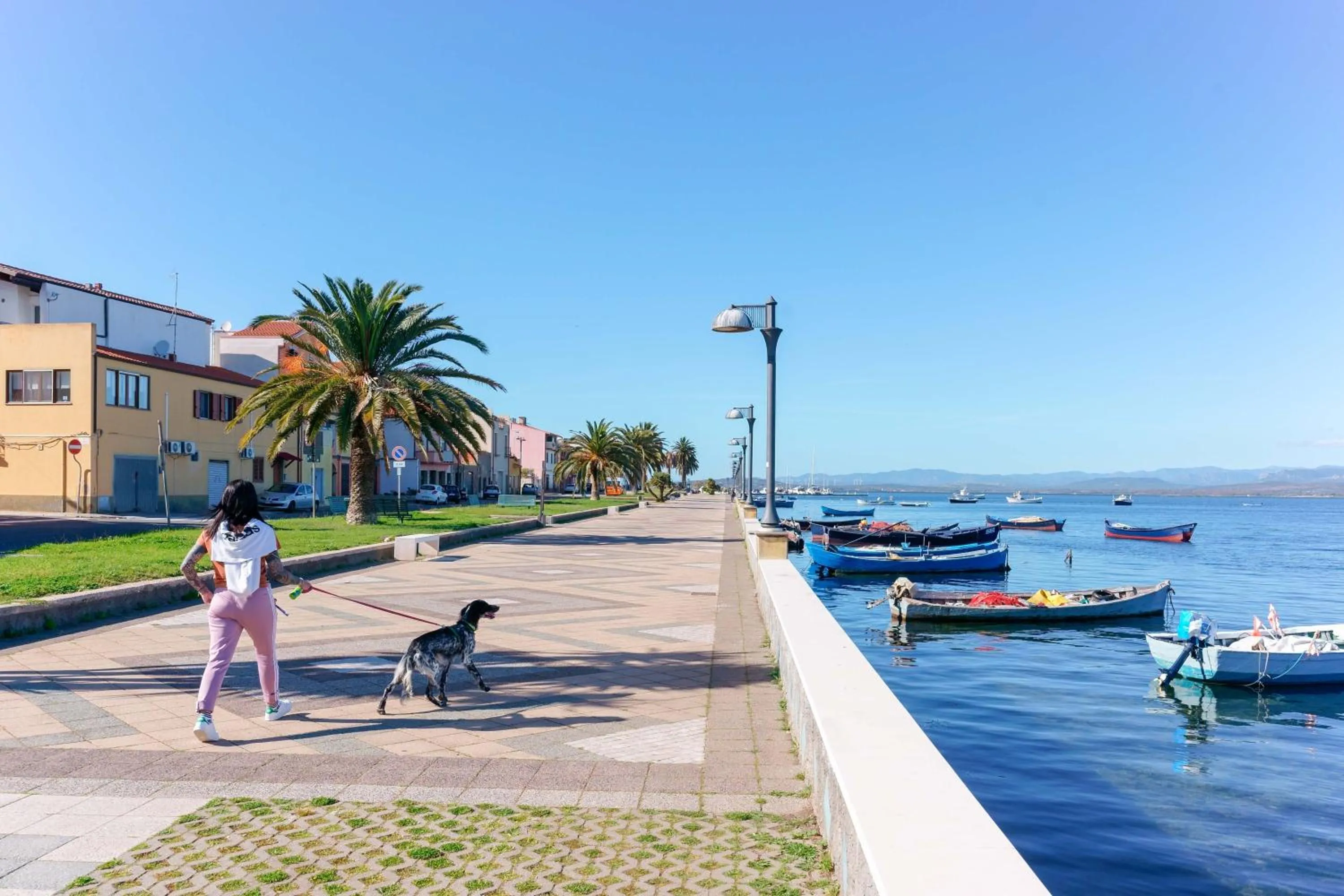 Montellino's Suite Oro