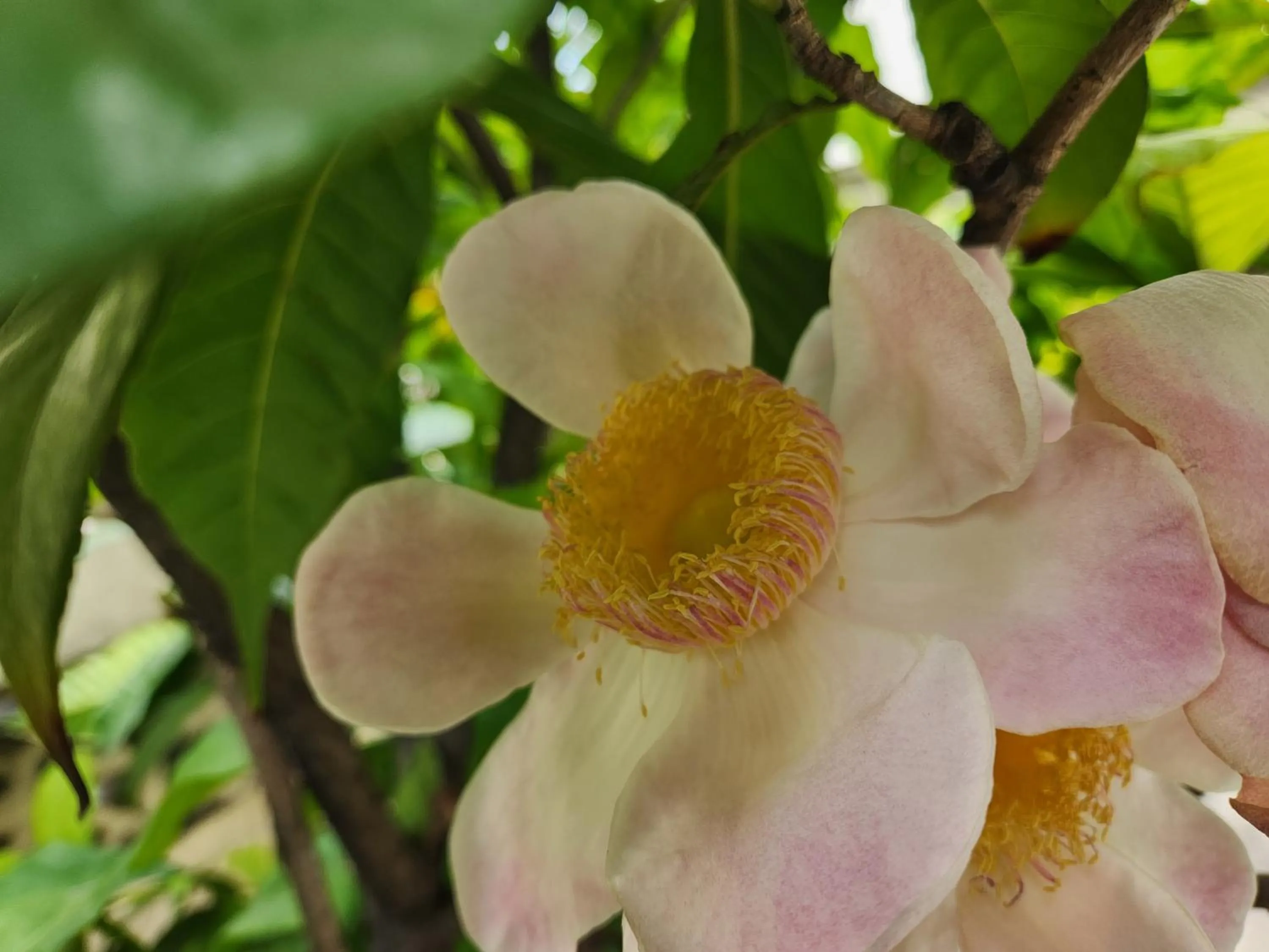 Property building in Interchange Tower Serviced Apartment - SHA Extra Plus