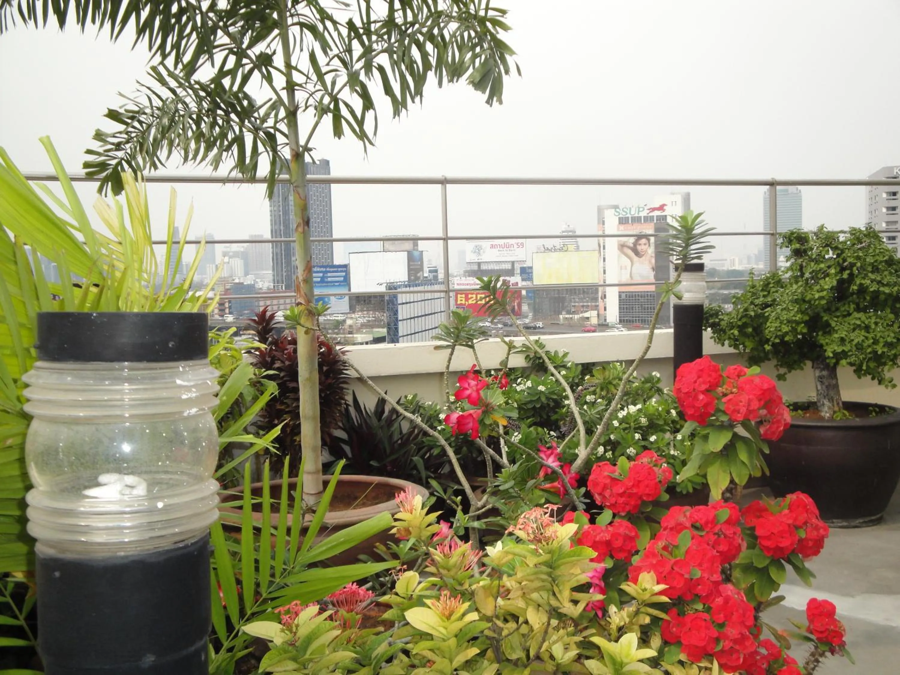 Garden in Interchange Tower Serviced Apartment - SHA Extra Plus