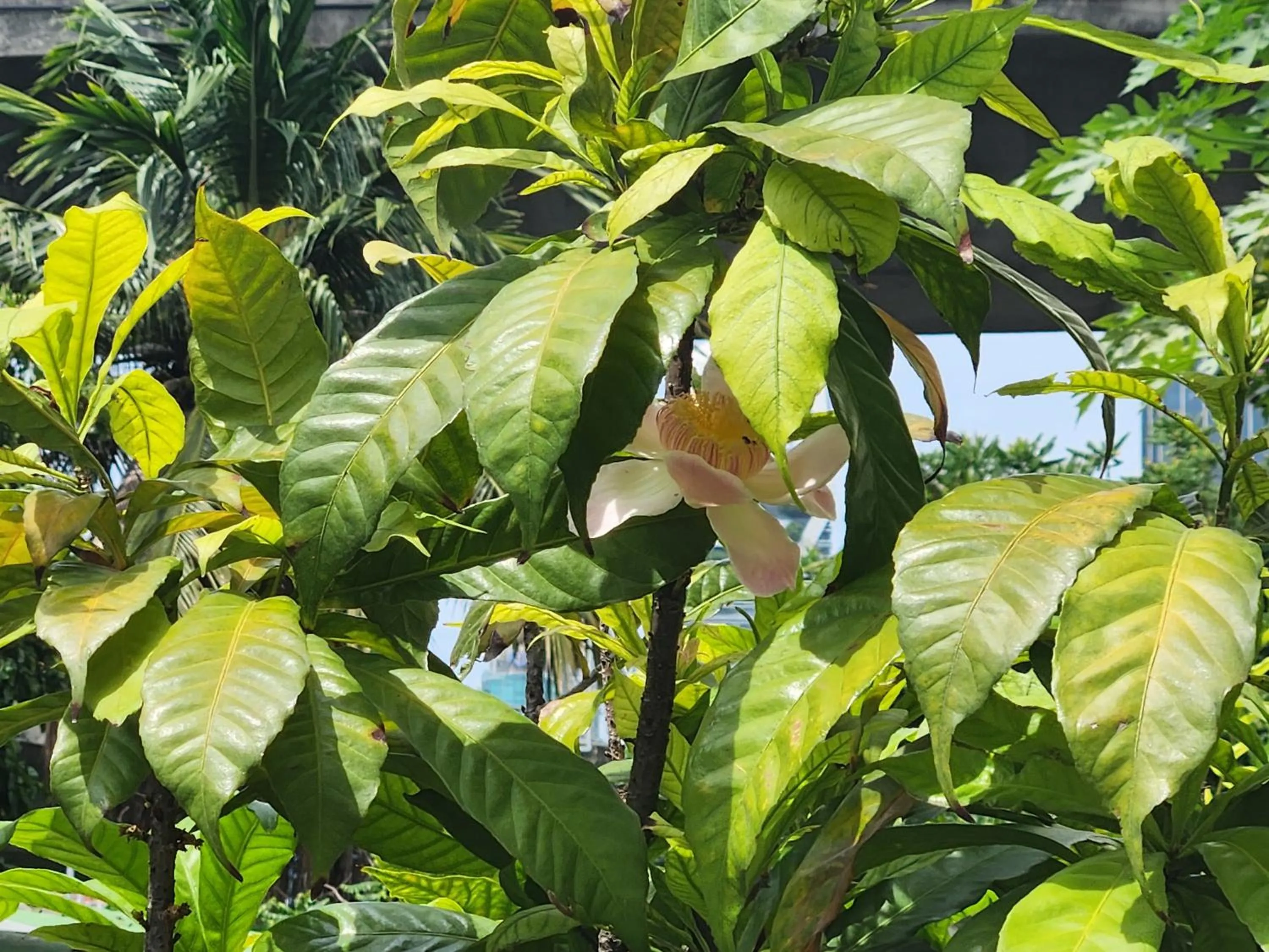 Property building in Interchange Tower Serviced Apartment - SHA Extra Plus