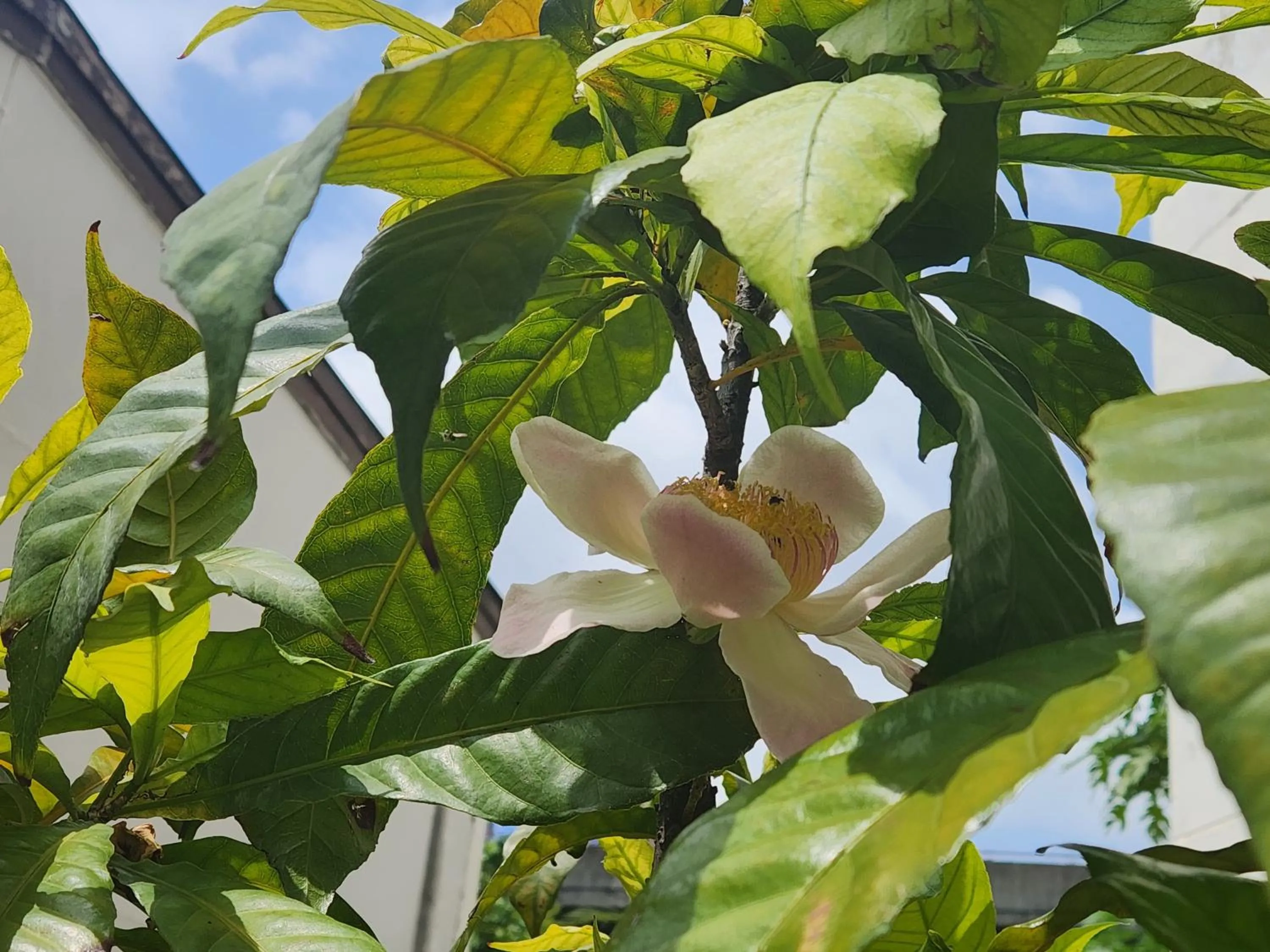 Property building in Interchange Tower Serviced Apartment - SHA Extra Plus