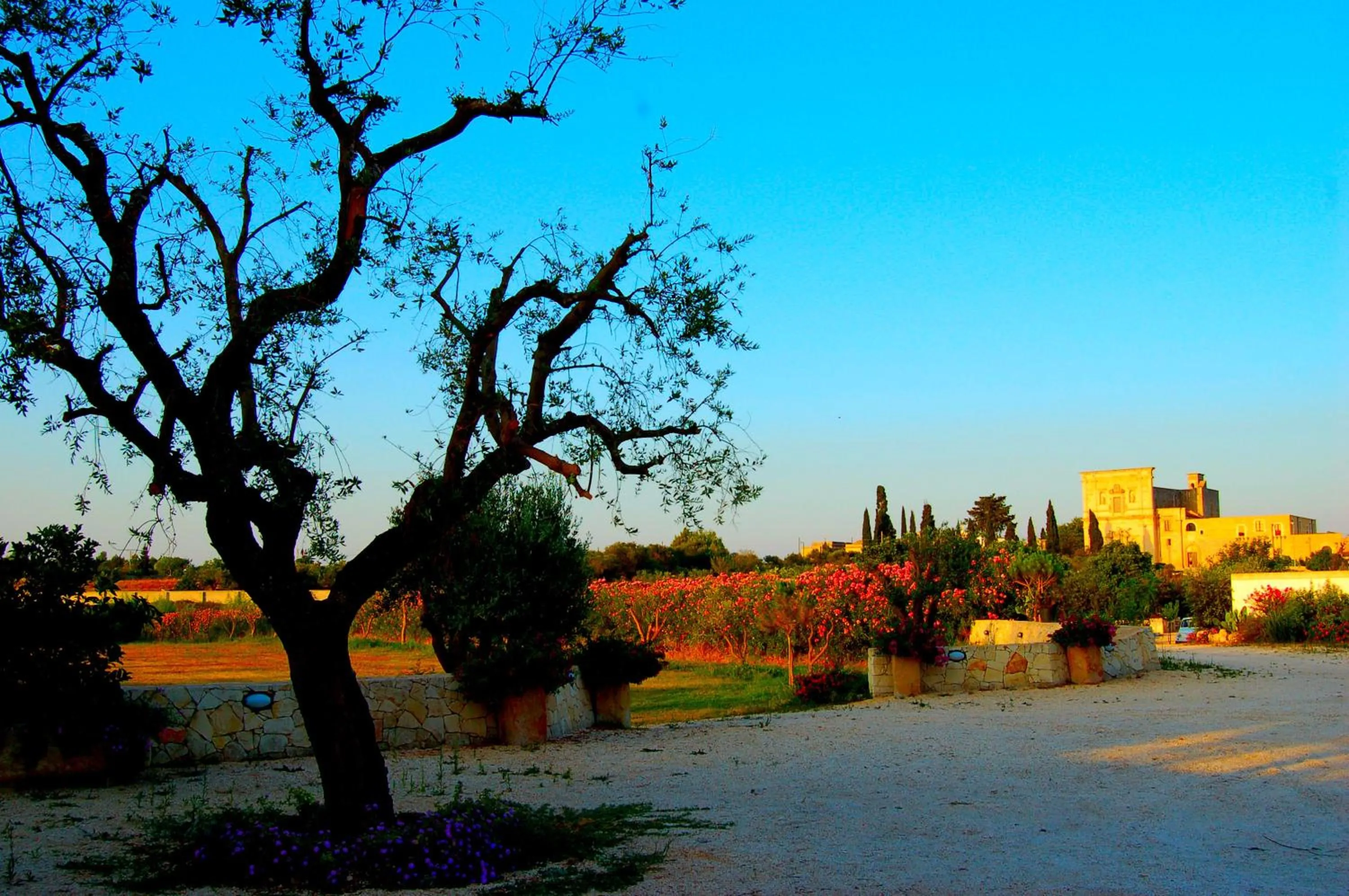 Property building in Hotel dei Messapi