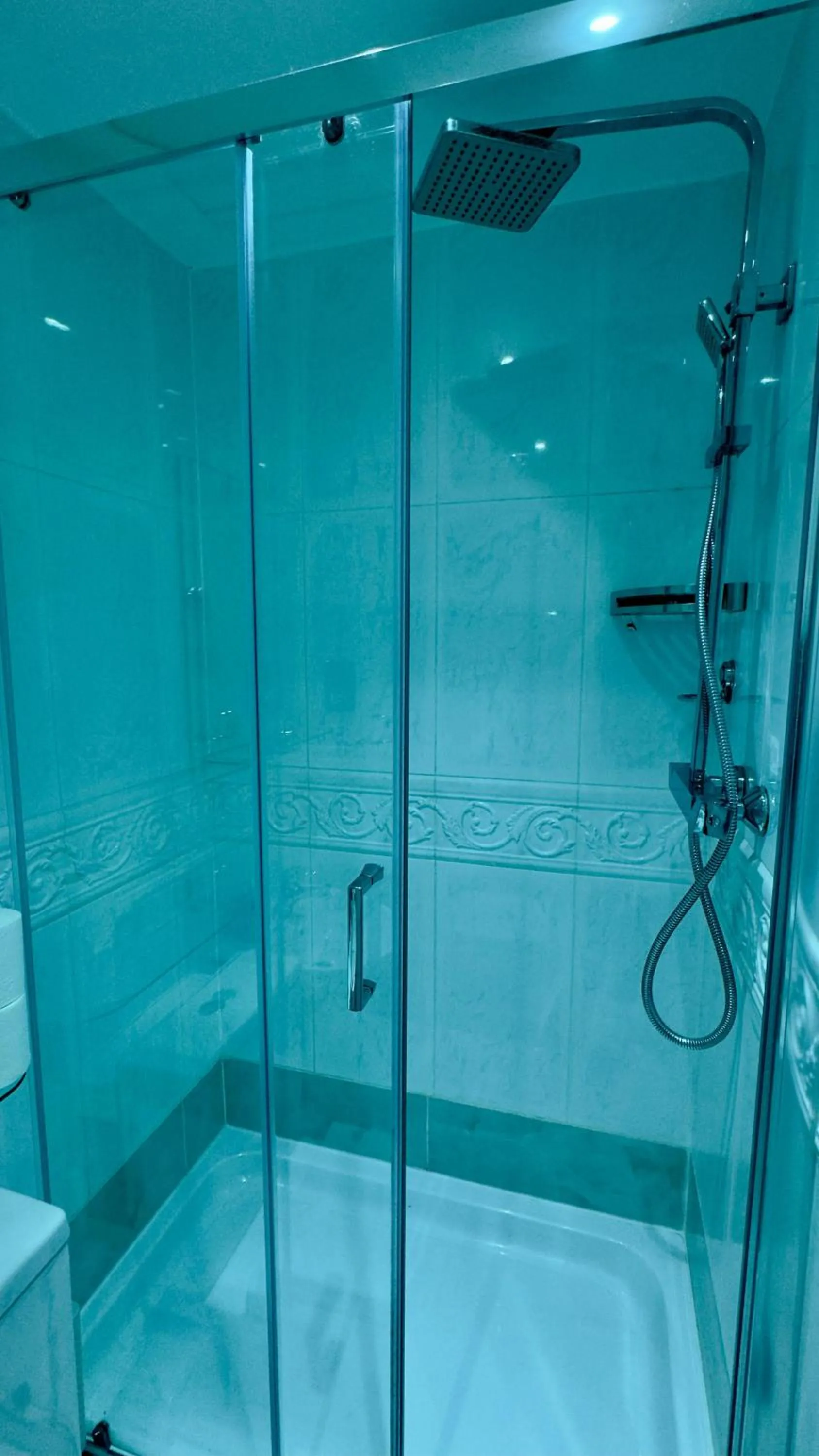 Shower in Classic Hyde Park Hotel