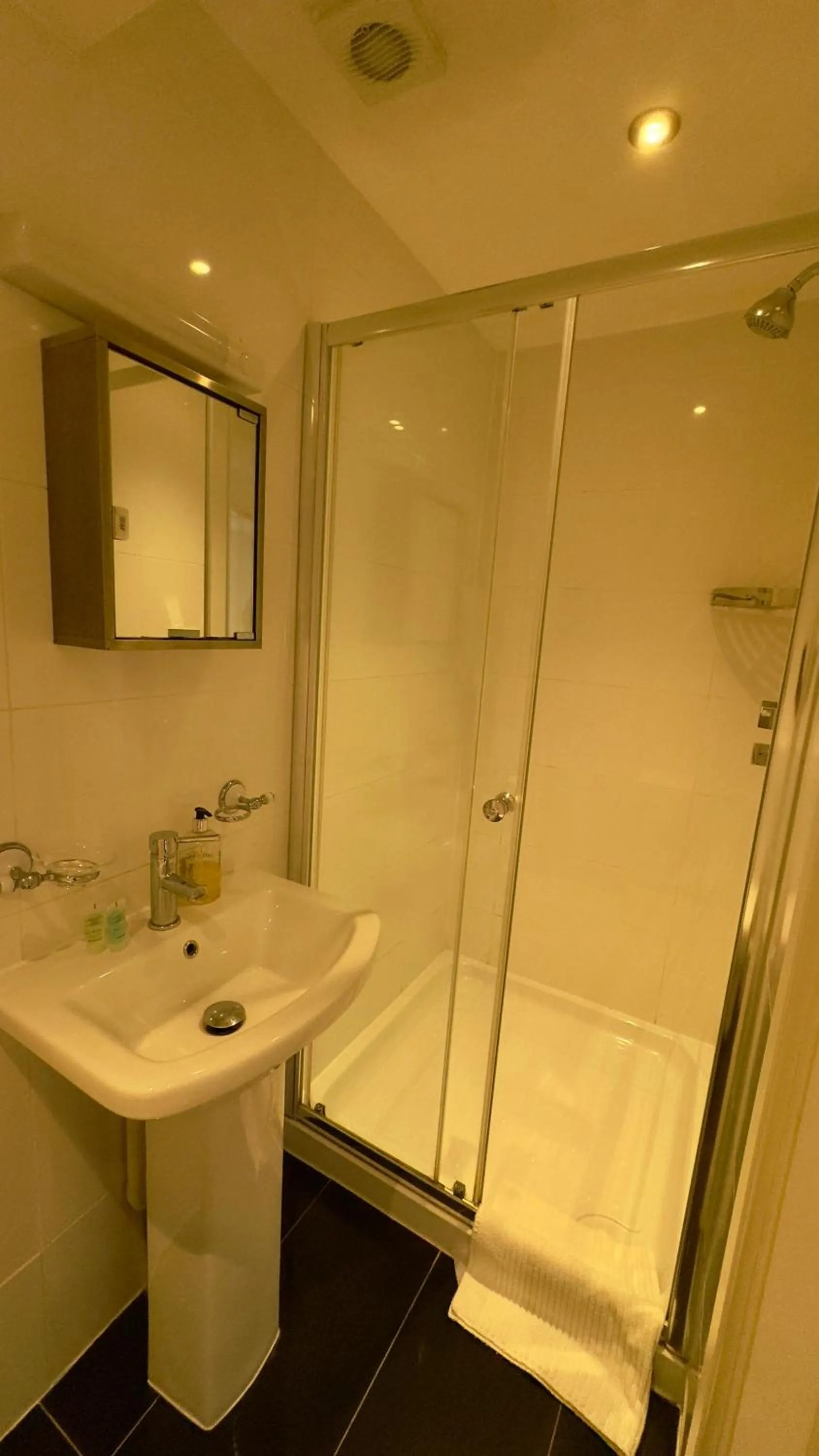 Shower in Classic Hyde Park Hotel