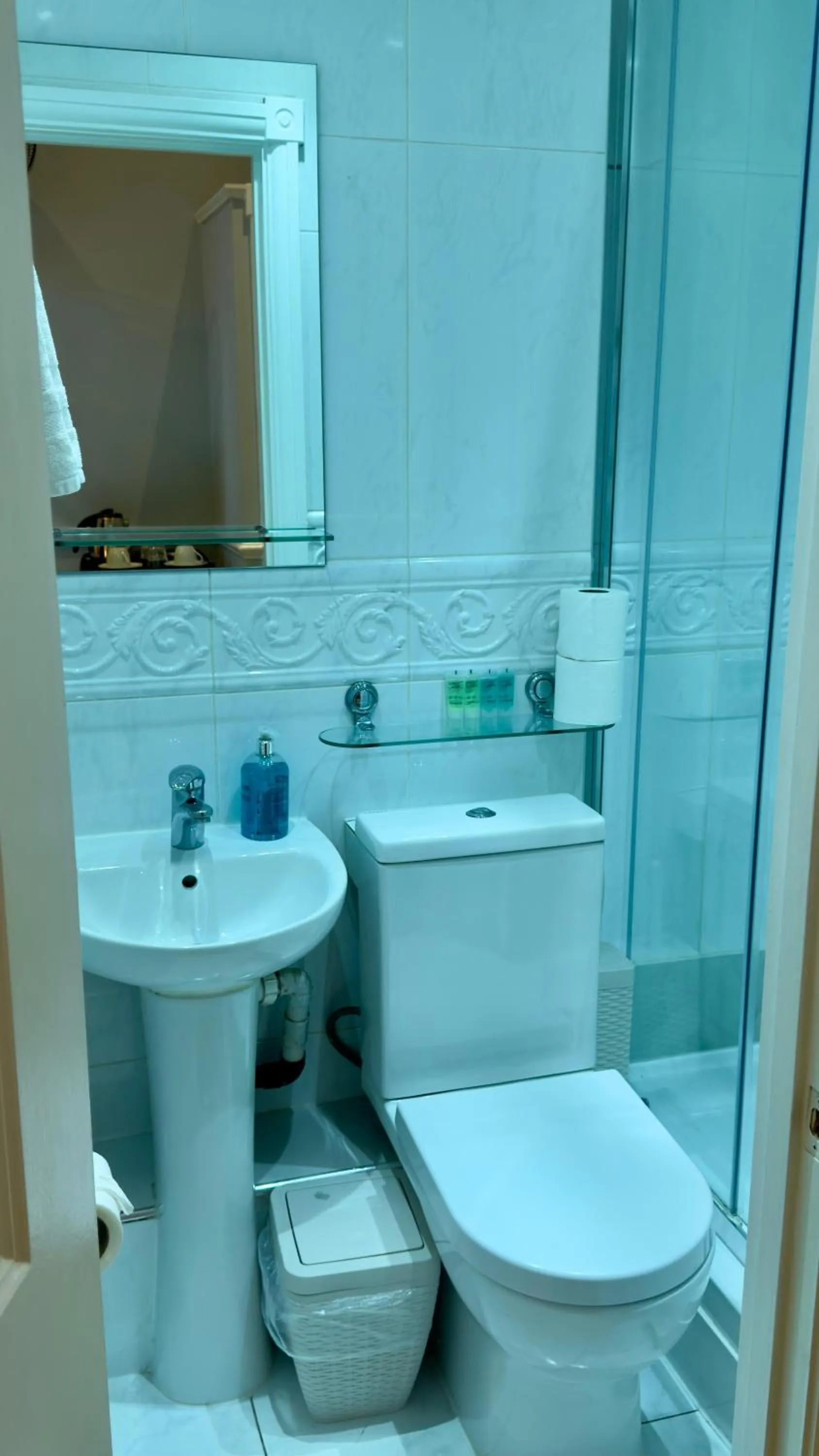 Shower in Classic Hyde Park Hotel