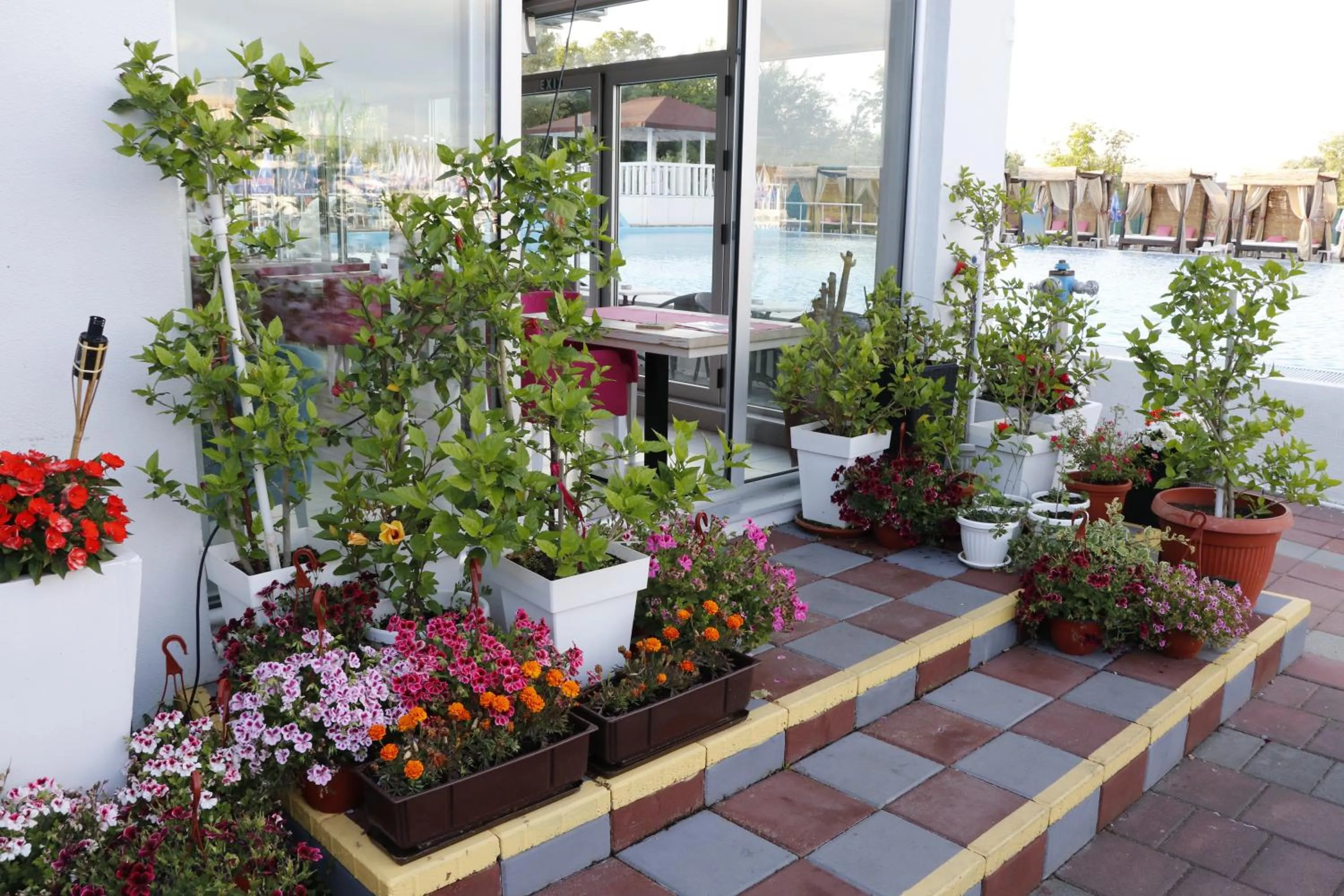 Patio in Flamingo Resort