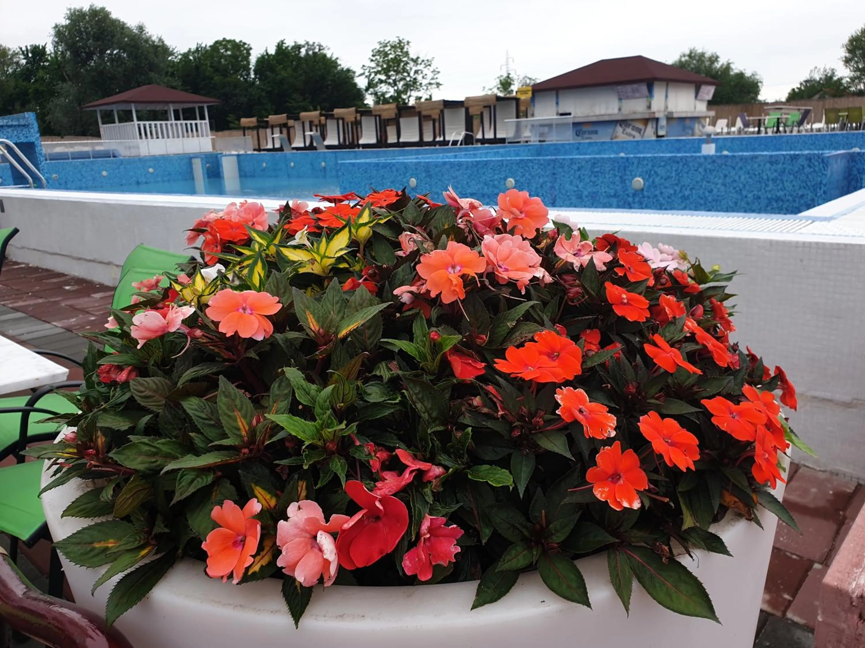 Patio in Flamingo Resort