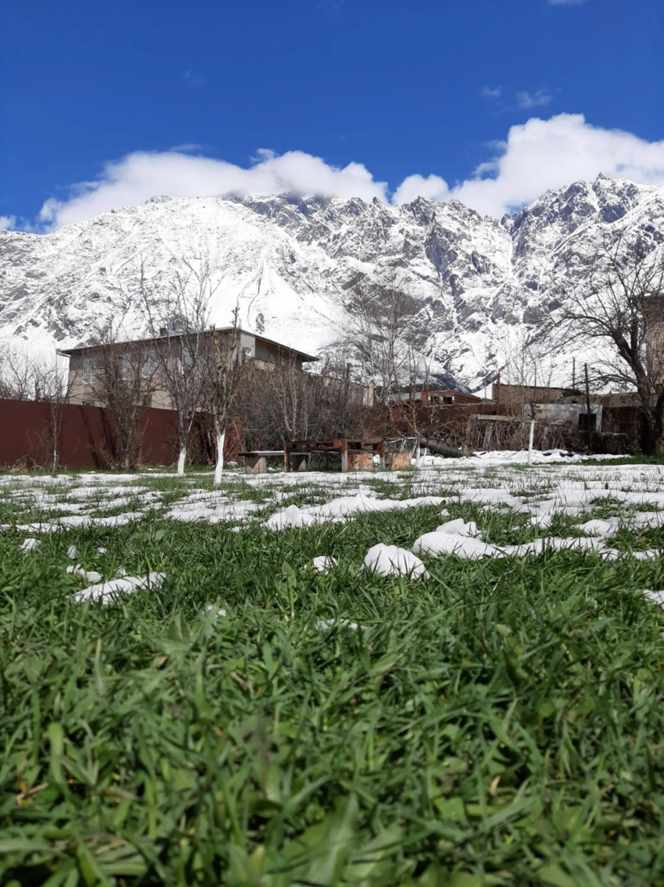 Garden in Kazbegi Green Yard
