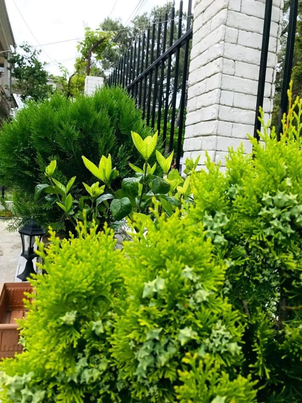 Property building in Gurya