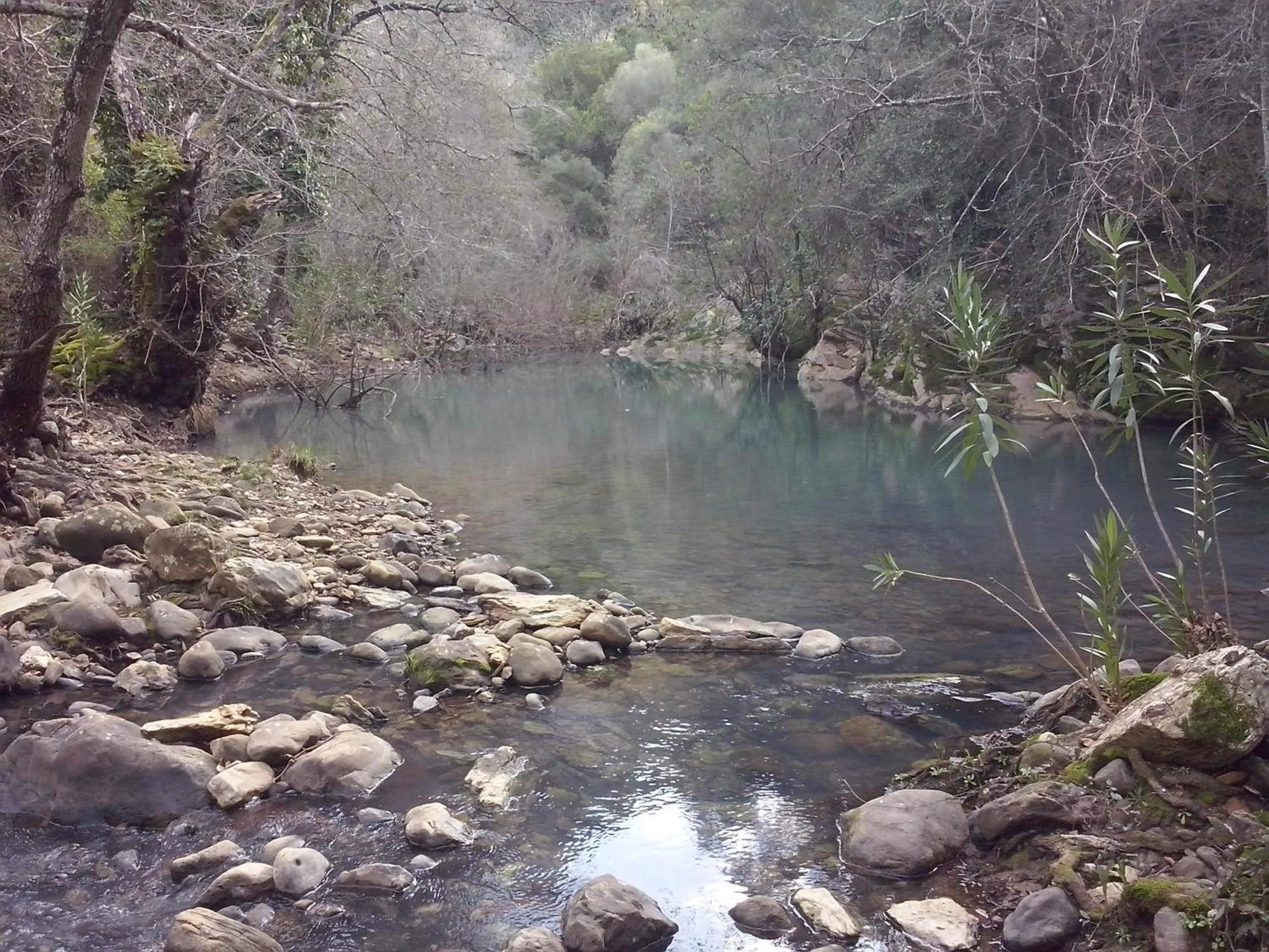 Natural landscape in Posada La Casa Grande