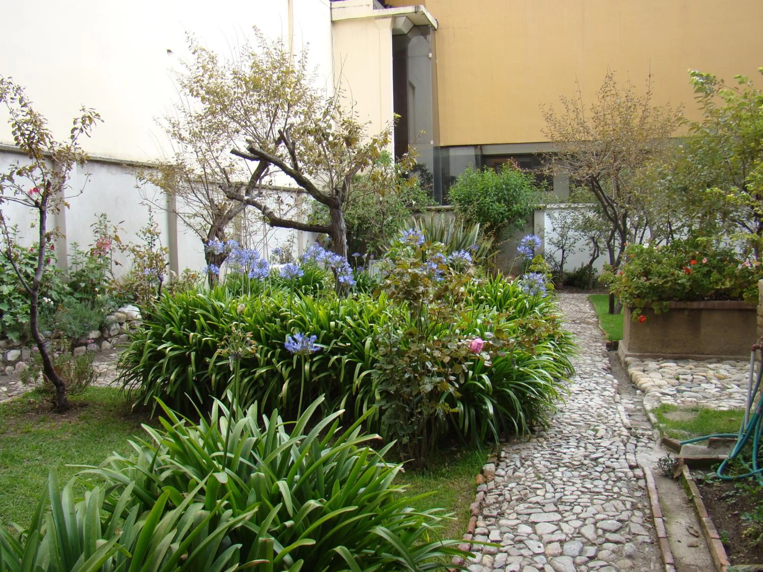 Garden in Hotel Boutique El Consulado