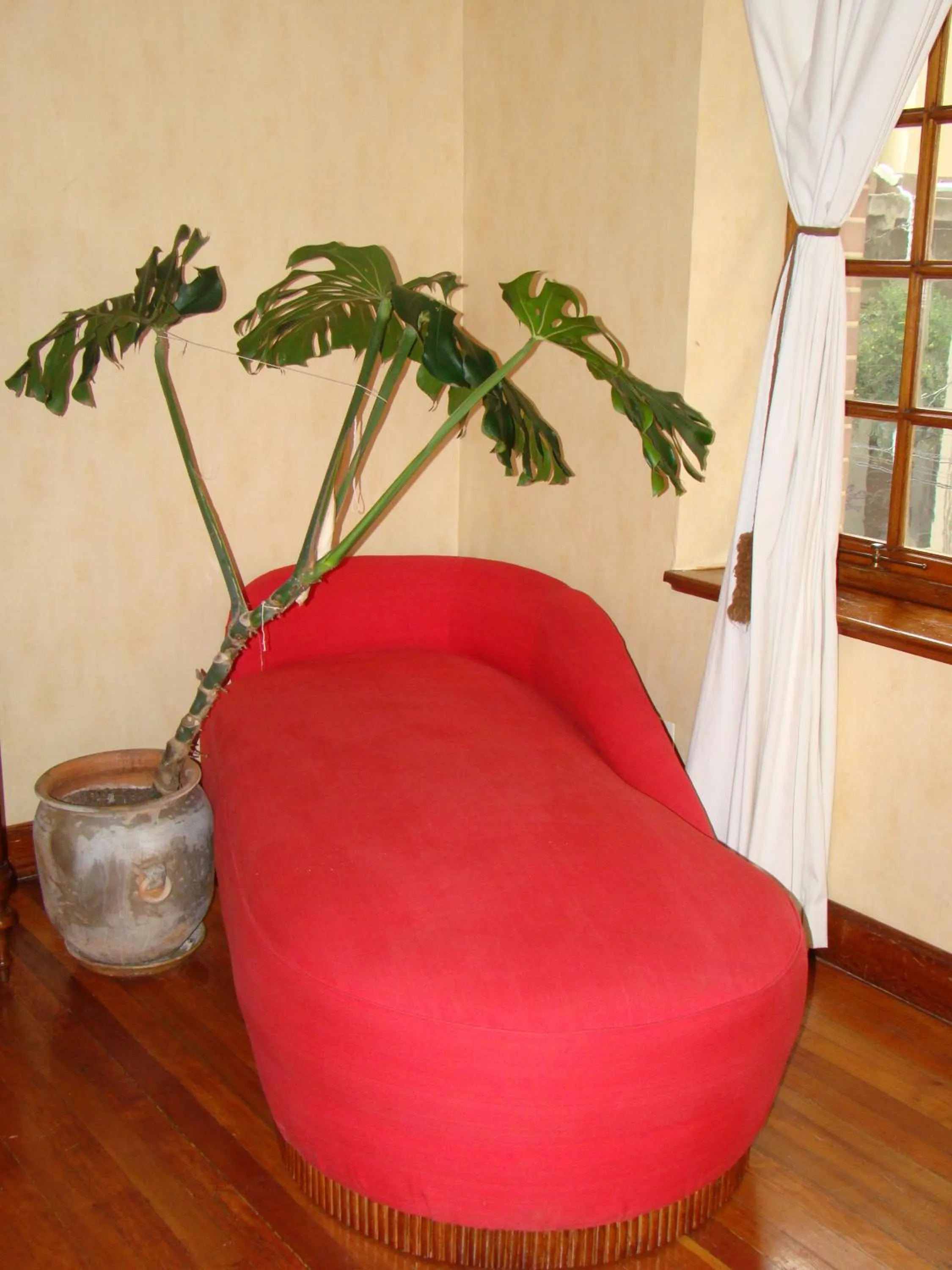 Decorative detail in Hotel Boutique El Consulado