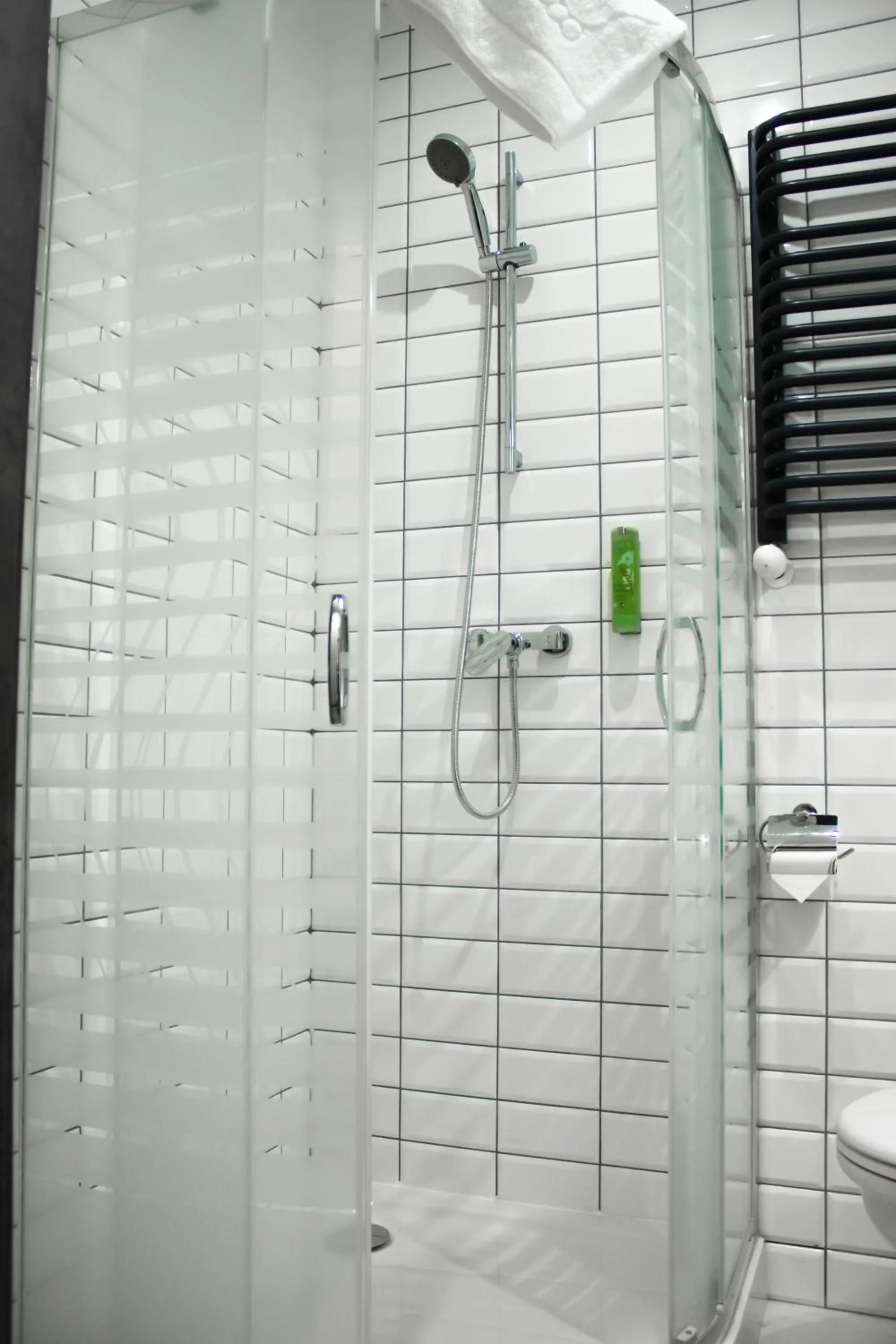 Shower in Hotel Promenada Biznes & Wypoczynek