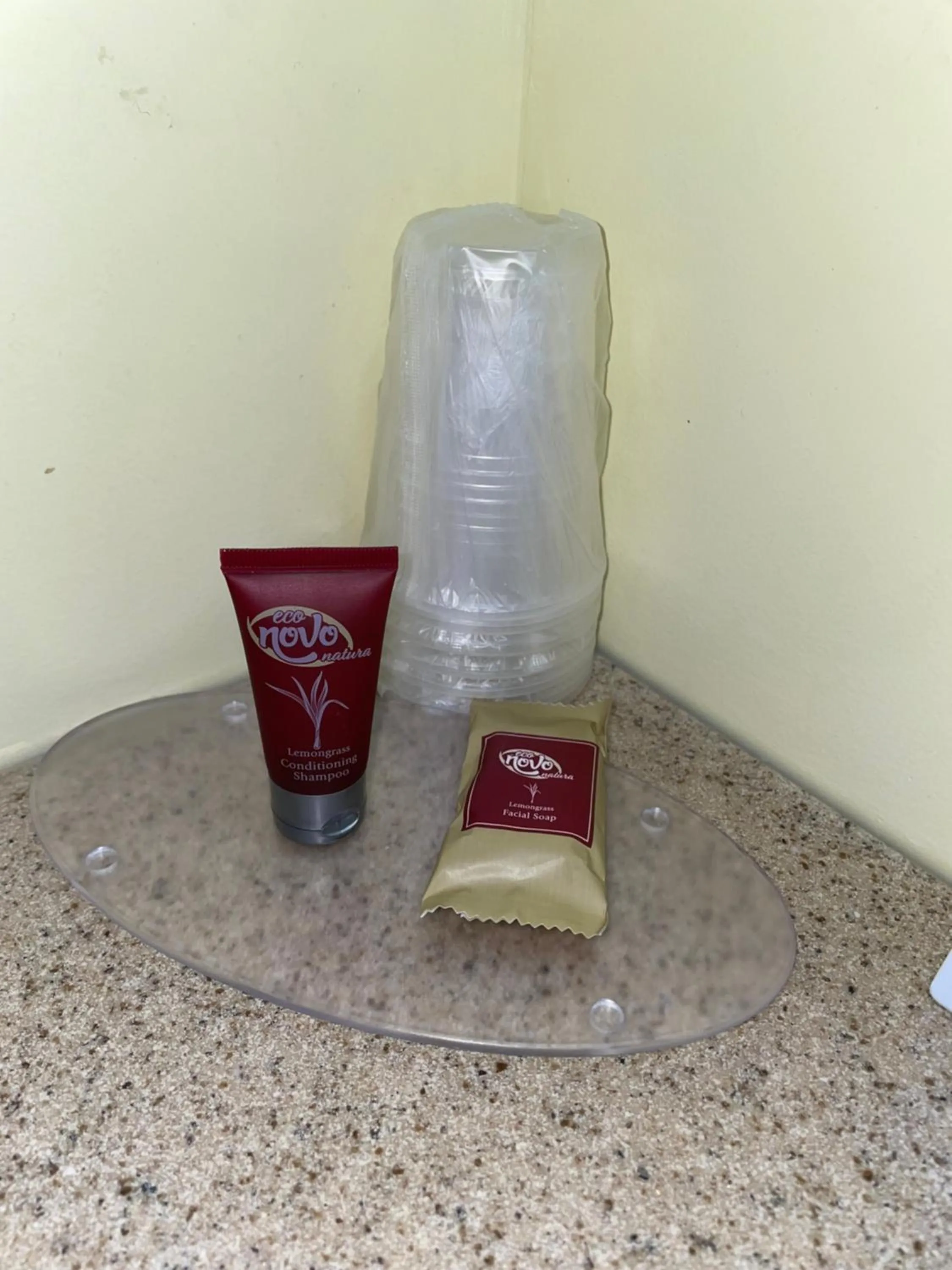 A Holiday Motel - Maggie Valley