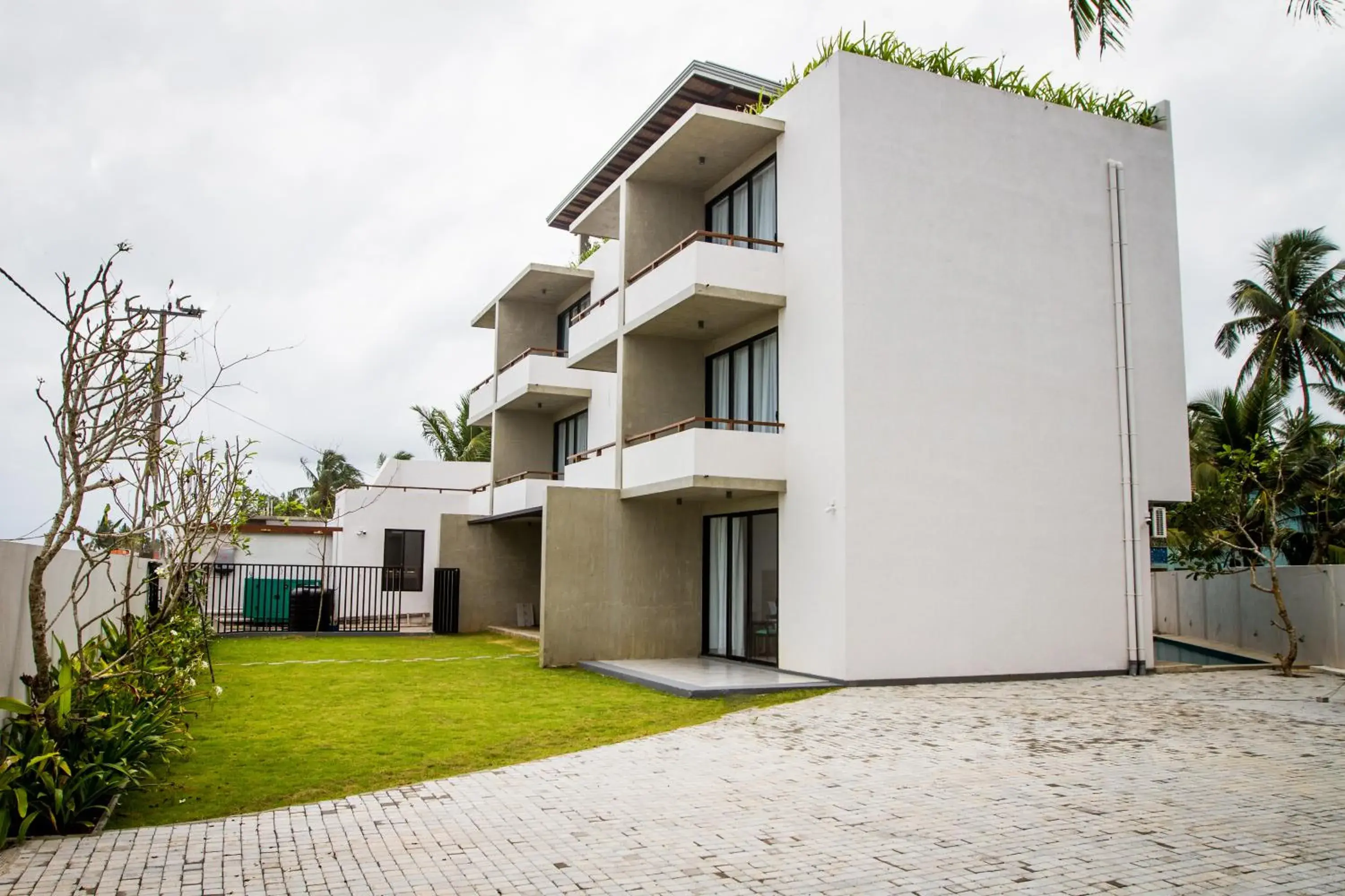 Facade/entrance in Lazy Koala Facade/entrance in Lazy Koala