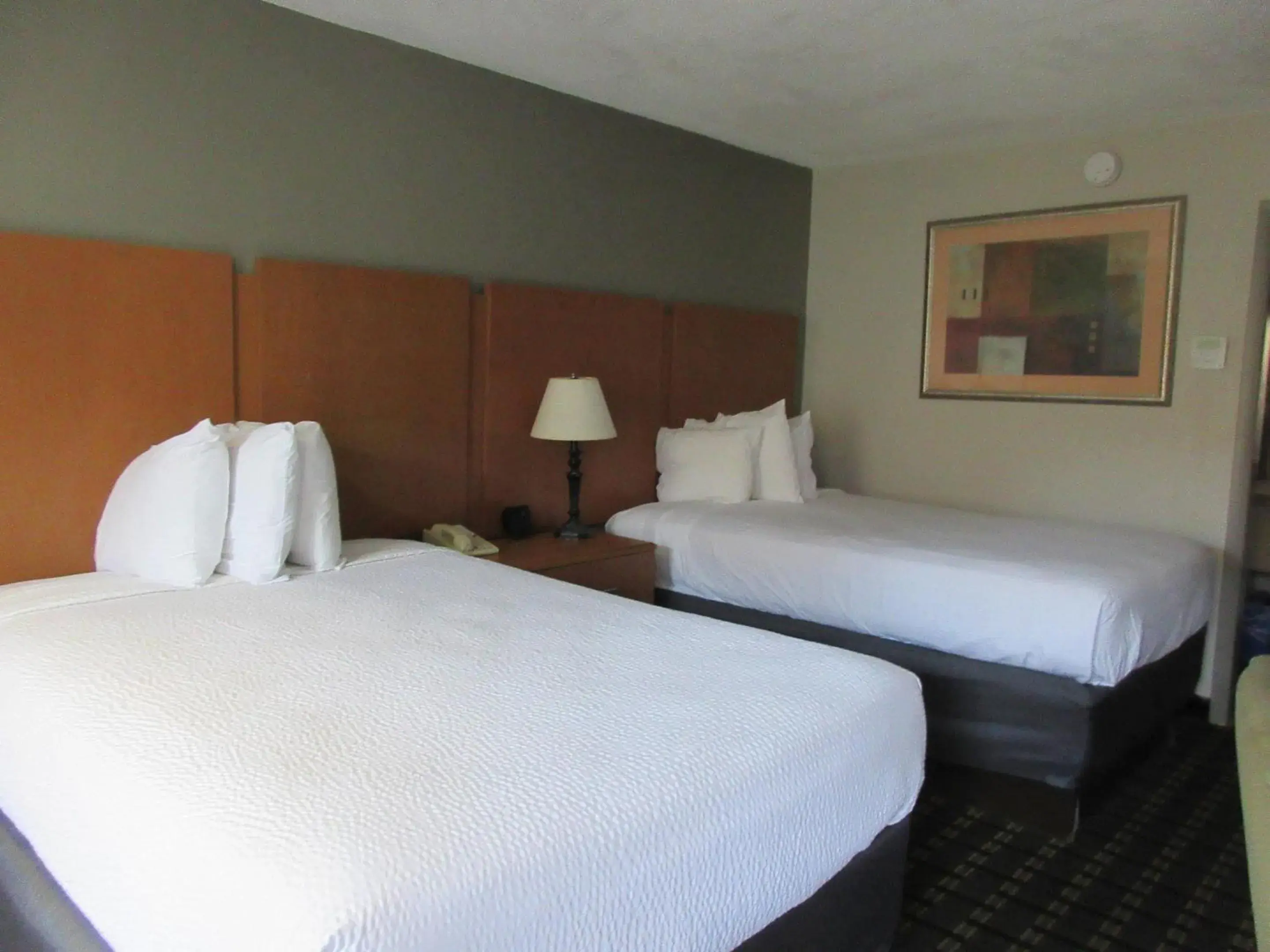 Bedroom, Bed in Clarion Inn Southern Pines - Pinehurst Bedroom, Bed in Clarion Inn Southern Pines - Pinehurst