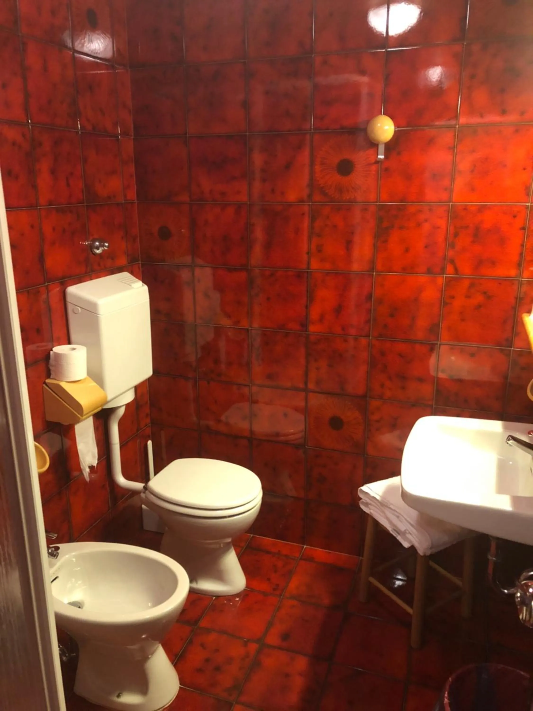 Shower in Hotel Zeni