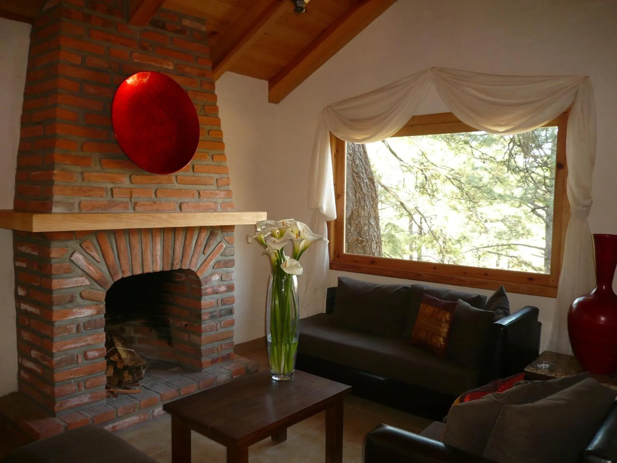 Day in Bosque Escondido