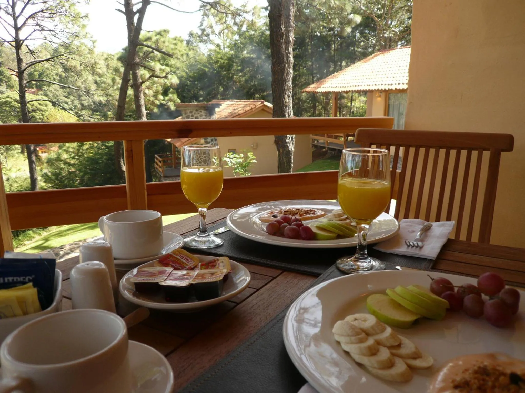 Day in Bosque Escondido