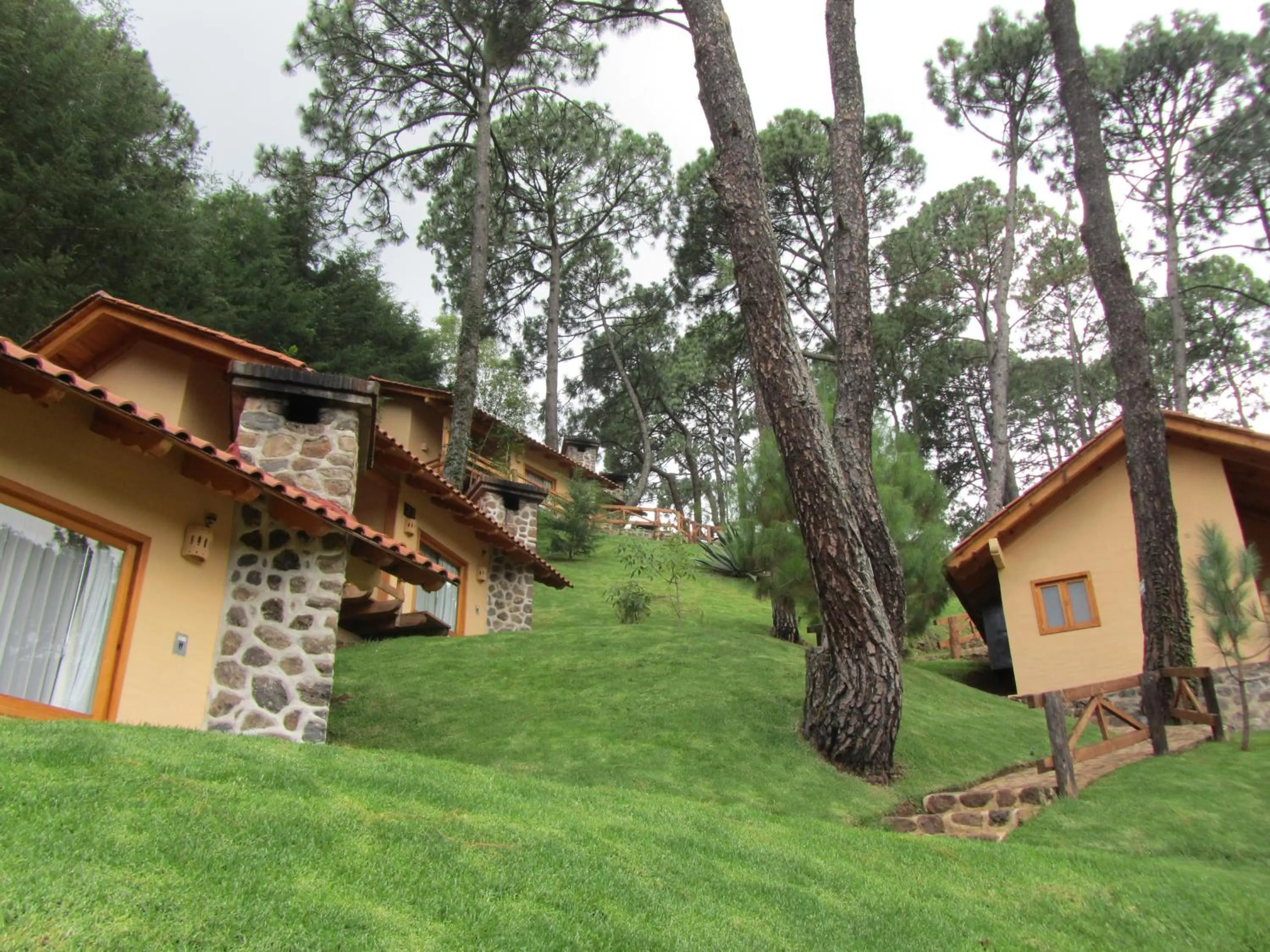 Off site in Bosque Escondido