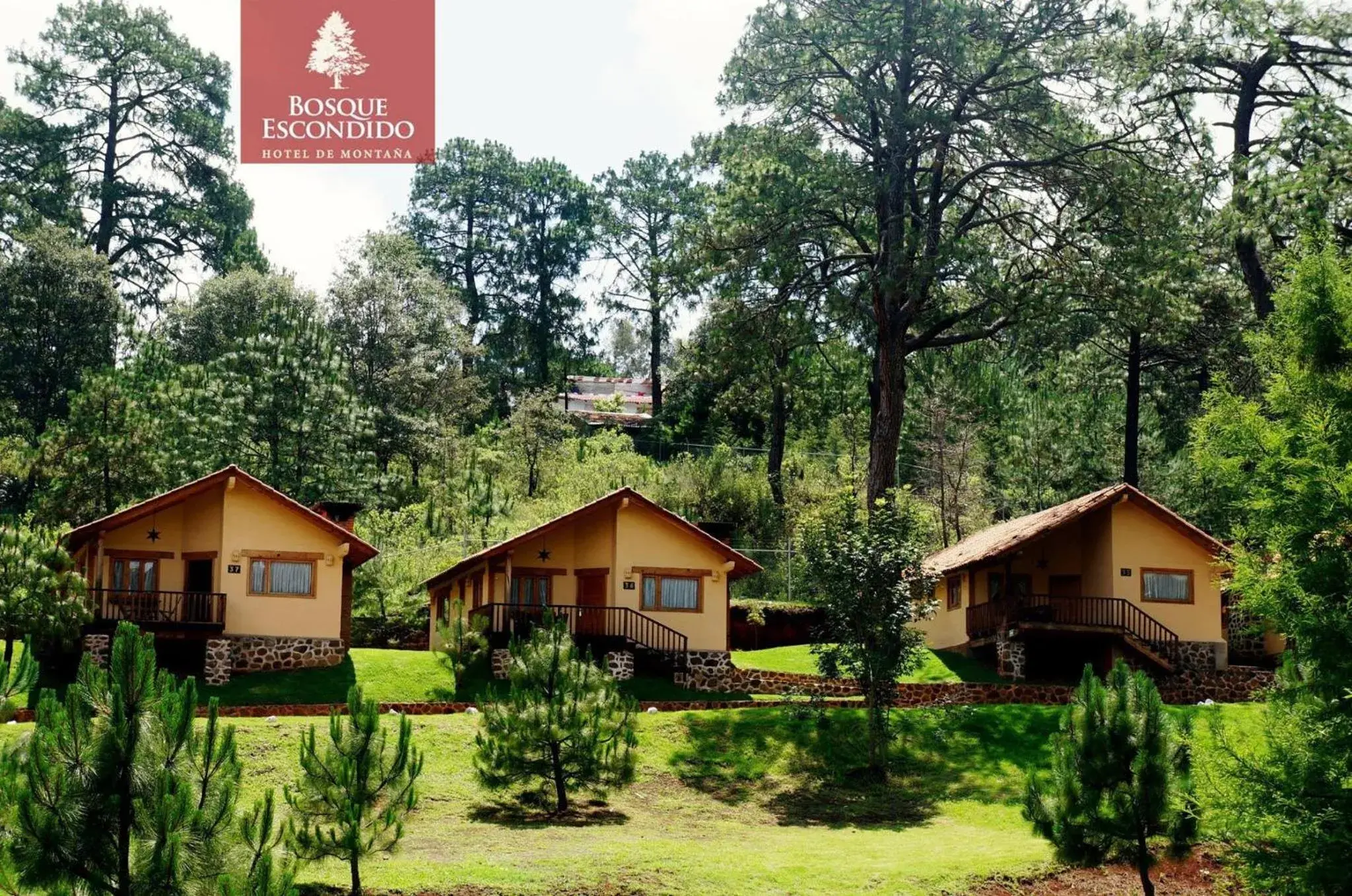 Property building in Bosque Escondido Property building in Bosque Escondido