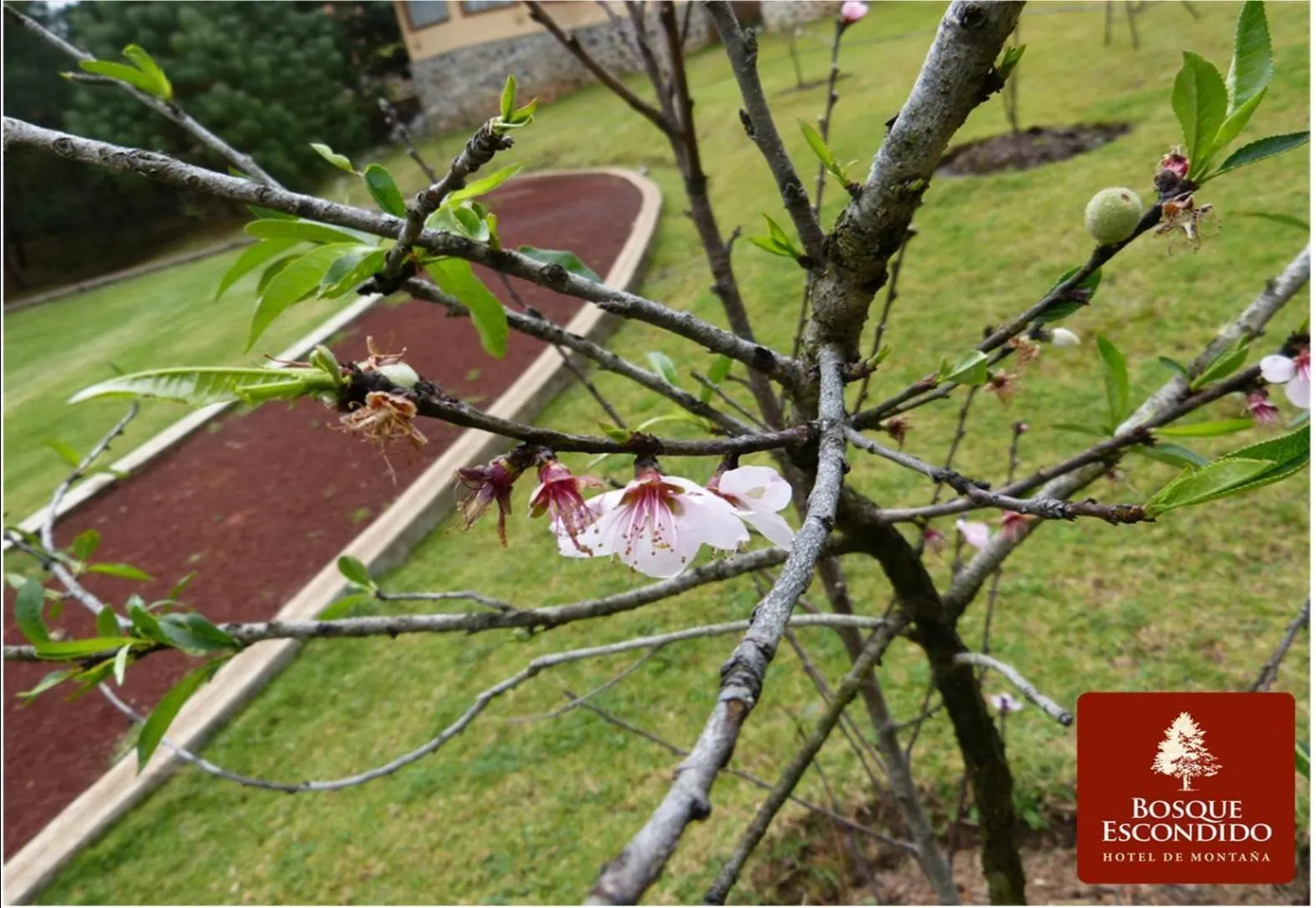 Day in Bosque Escondido