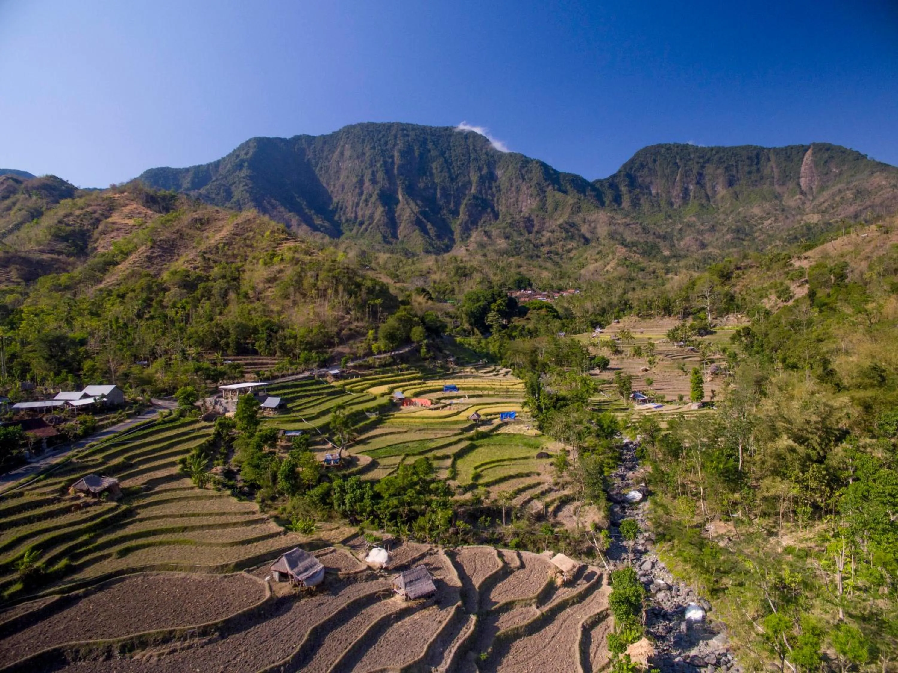 Natural landscape in Jemeluk Beach Bungalows