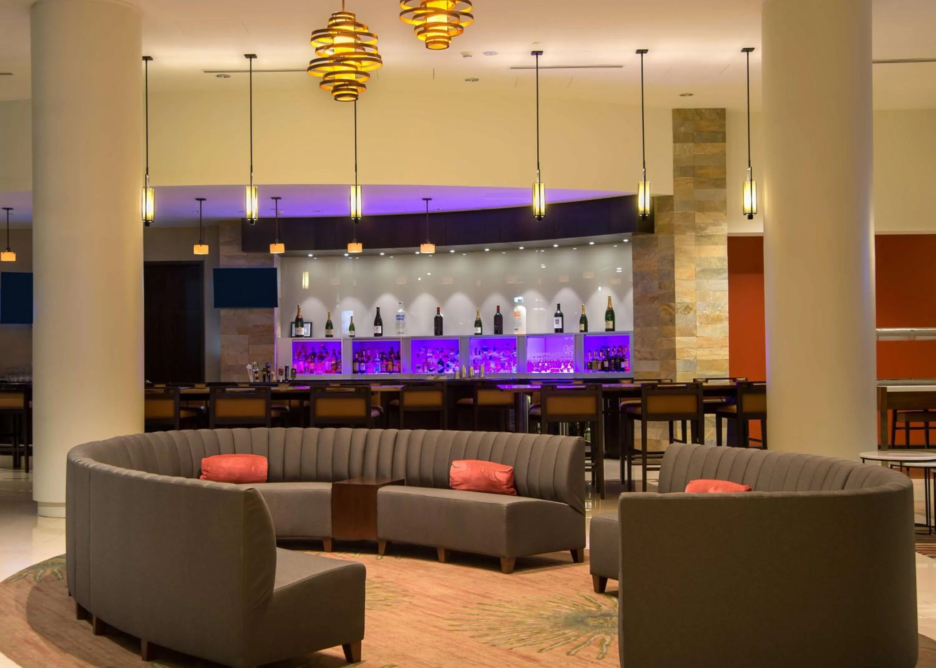 Lounge or bar in Hilton Albany
