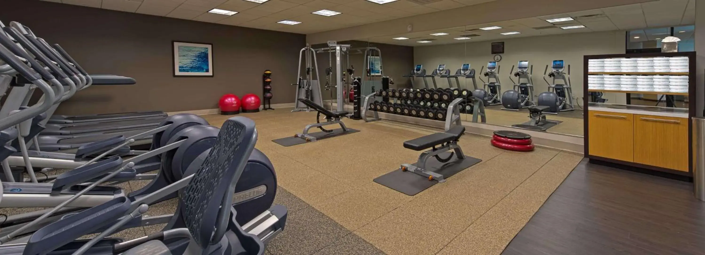 Fitness centre/facilities in Hilton Albany Fitness centre/facilities in Hilton Albany