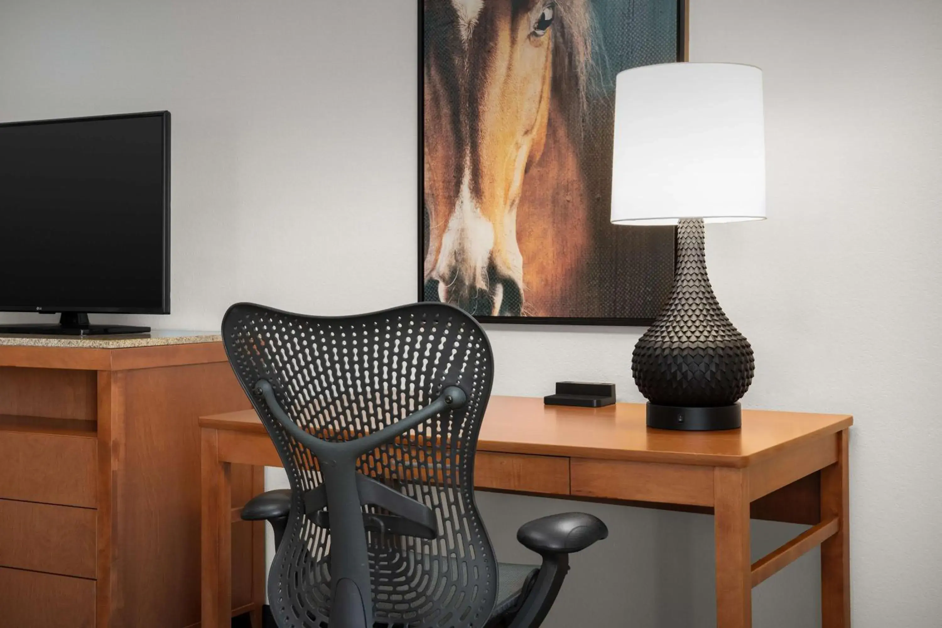 Premium King Room in Hilton Garden Inn Fort Worth Medical Center Premium King Room in Hilton Garden Inn Fort Worth Medical Center