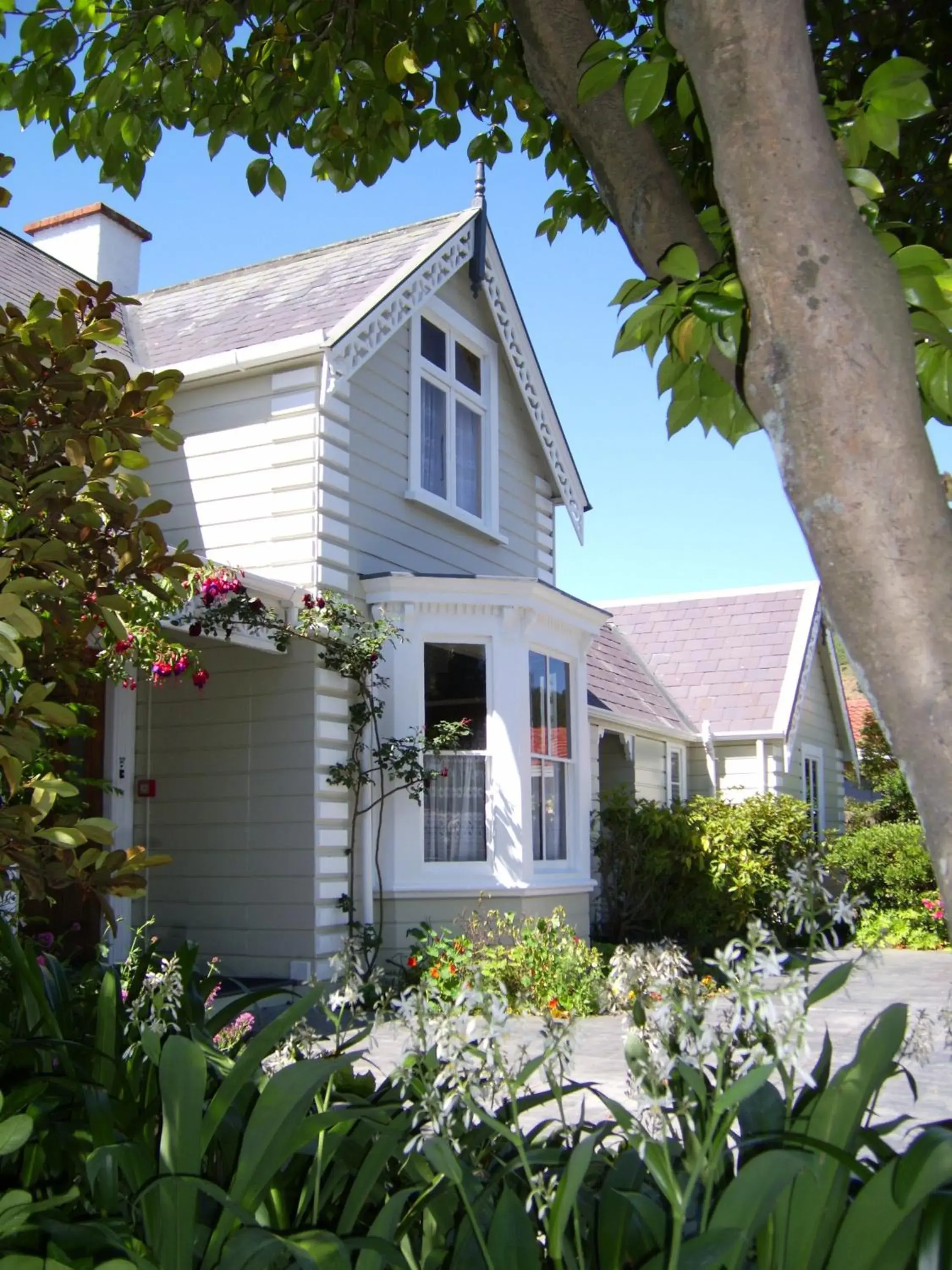 Cambria House Cambria House