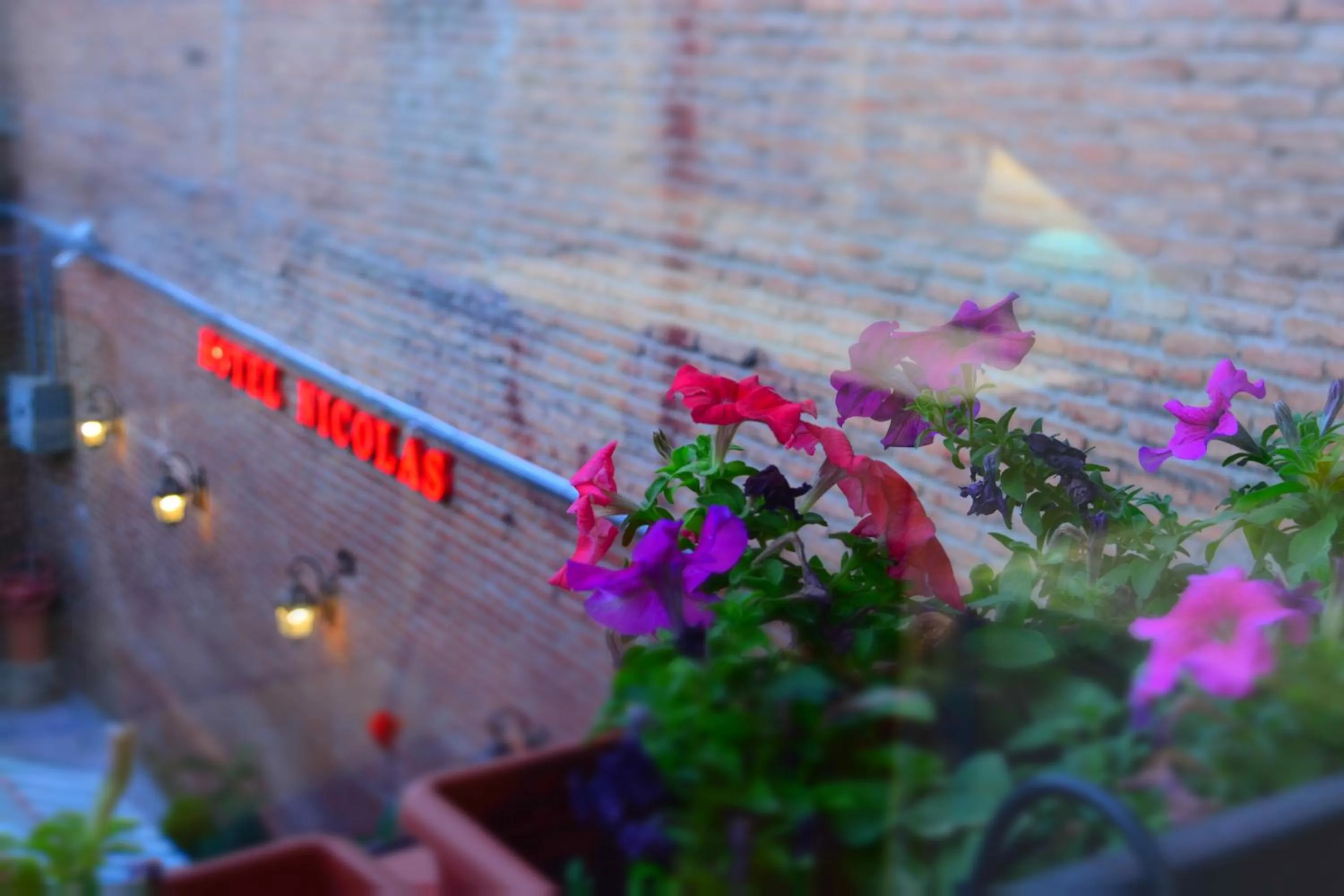 View (from property/room) in Hotel Nicolas