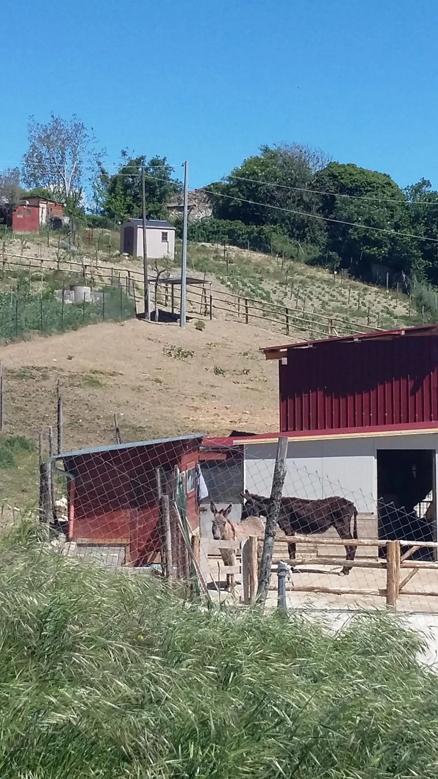 Day in Alla Contrada degli Asinelli