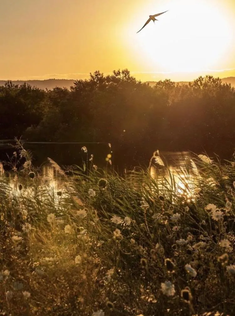 Property building in Thrassa Hotel