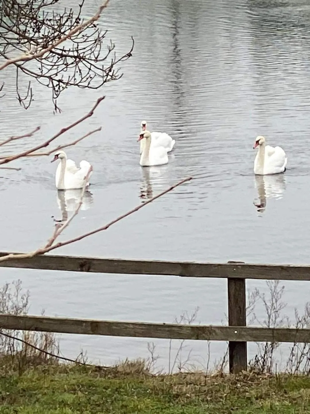 Swimming pool in Thrassa Hotel