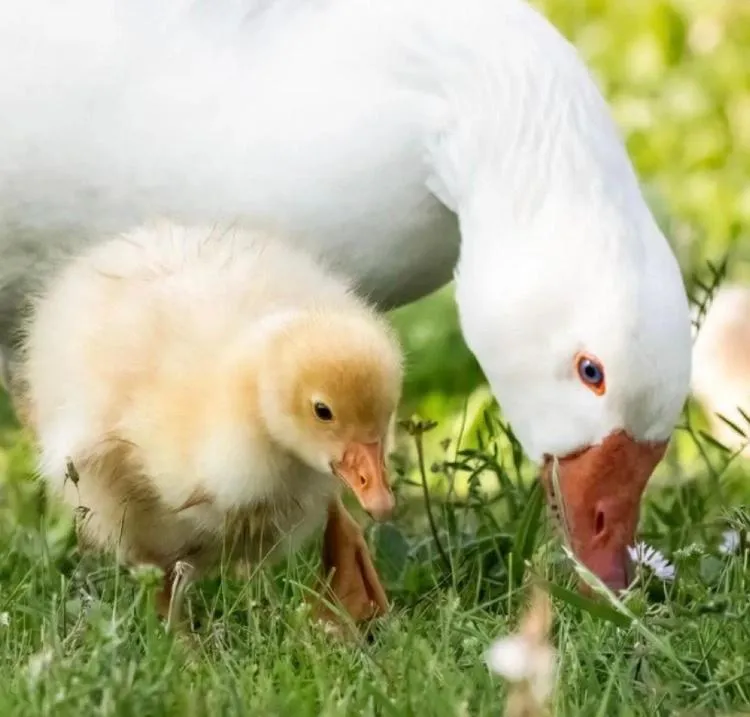 Property building in Thrassa Hotel