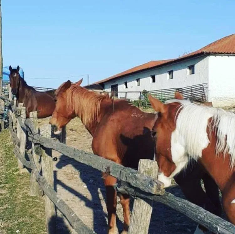 Property building in Thrassa Hotel