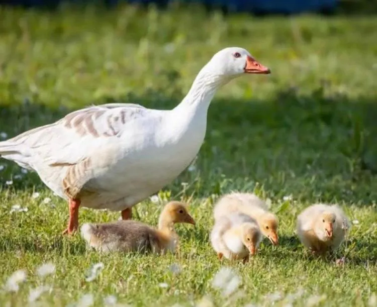 Property building in Thrassa Hotel