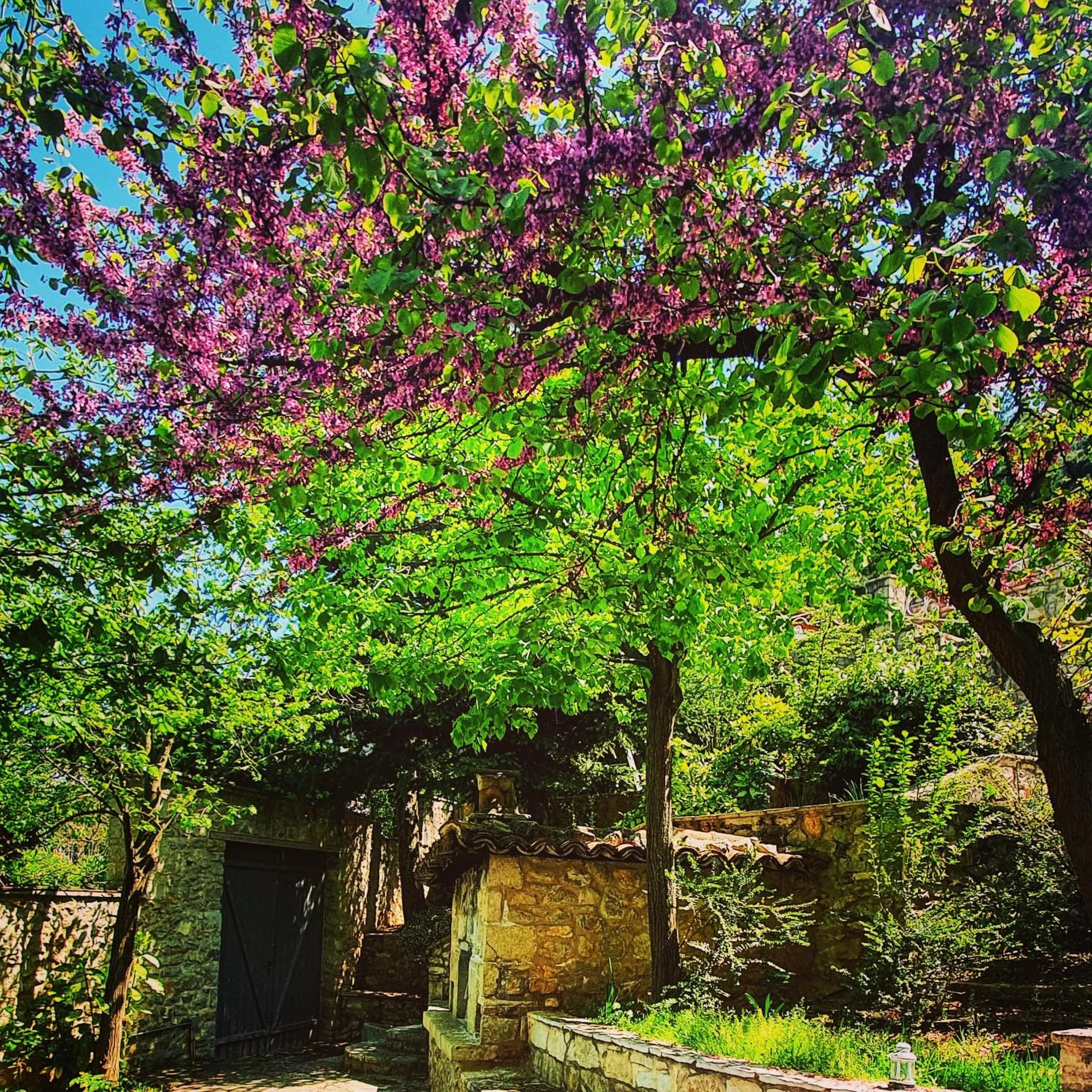Garden in Kyriaki Guesthouse & Suites
