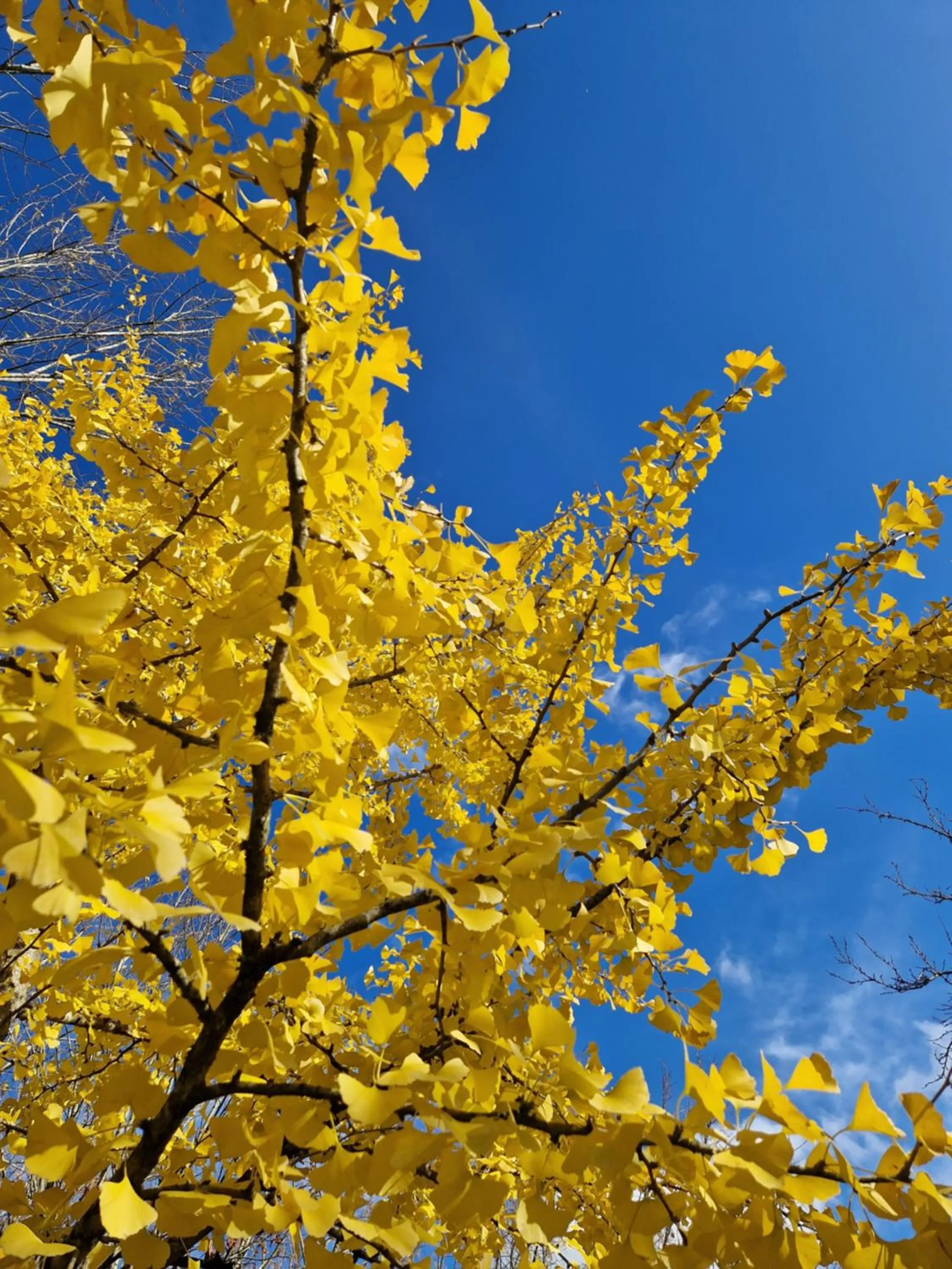 Property building in Chambre d'hôtes