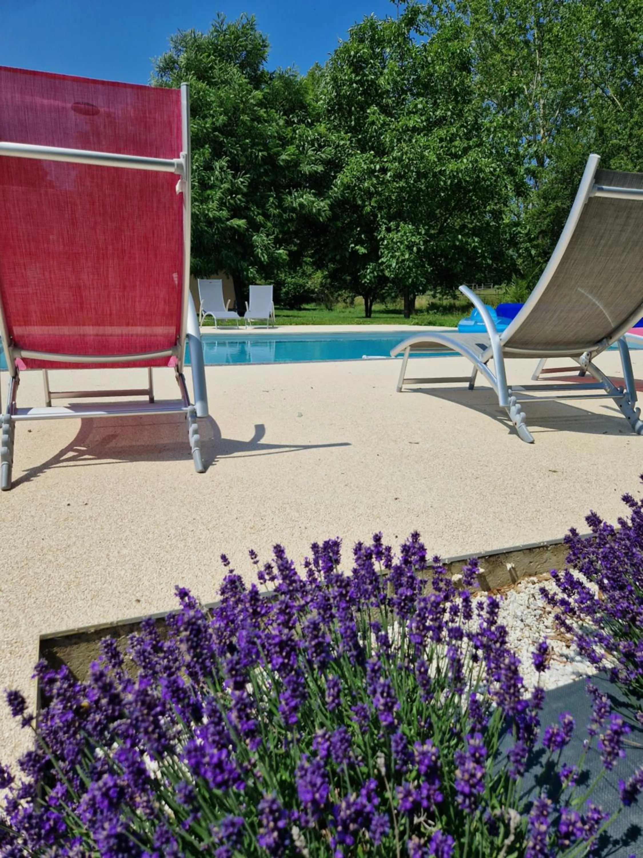 Patio in Chambre d'hôtes