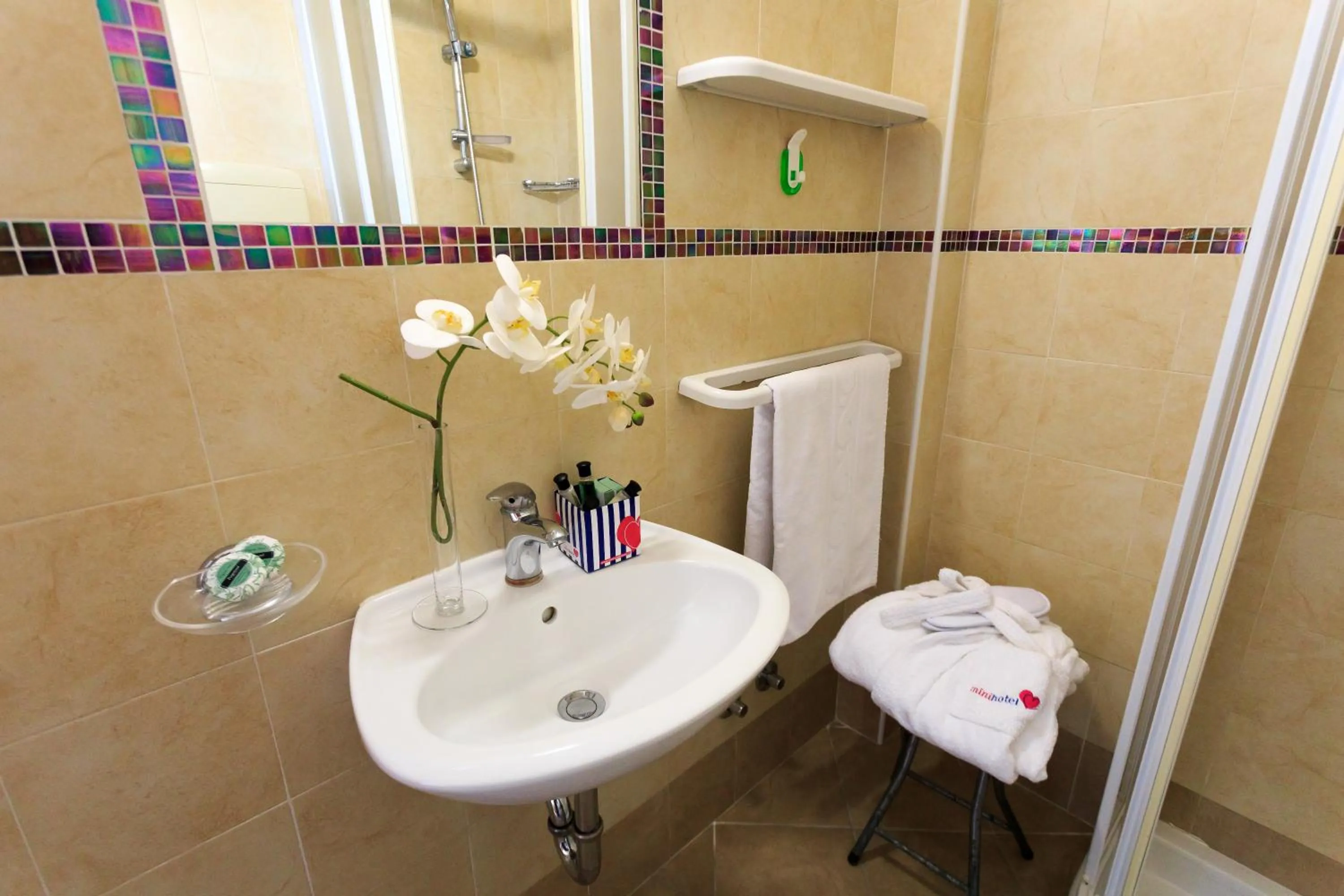 Shower in Mini Hotel