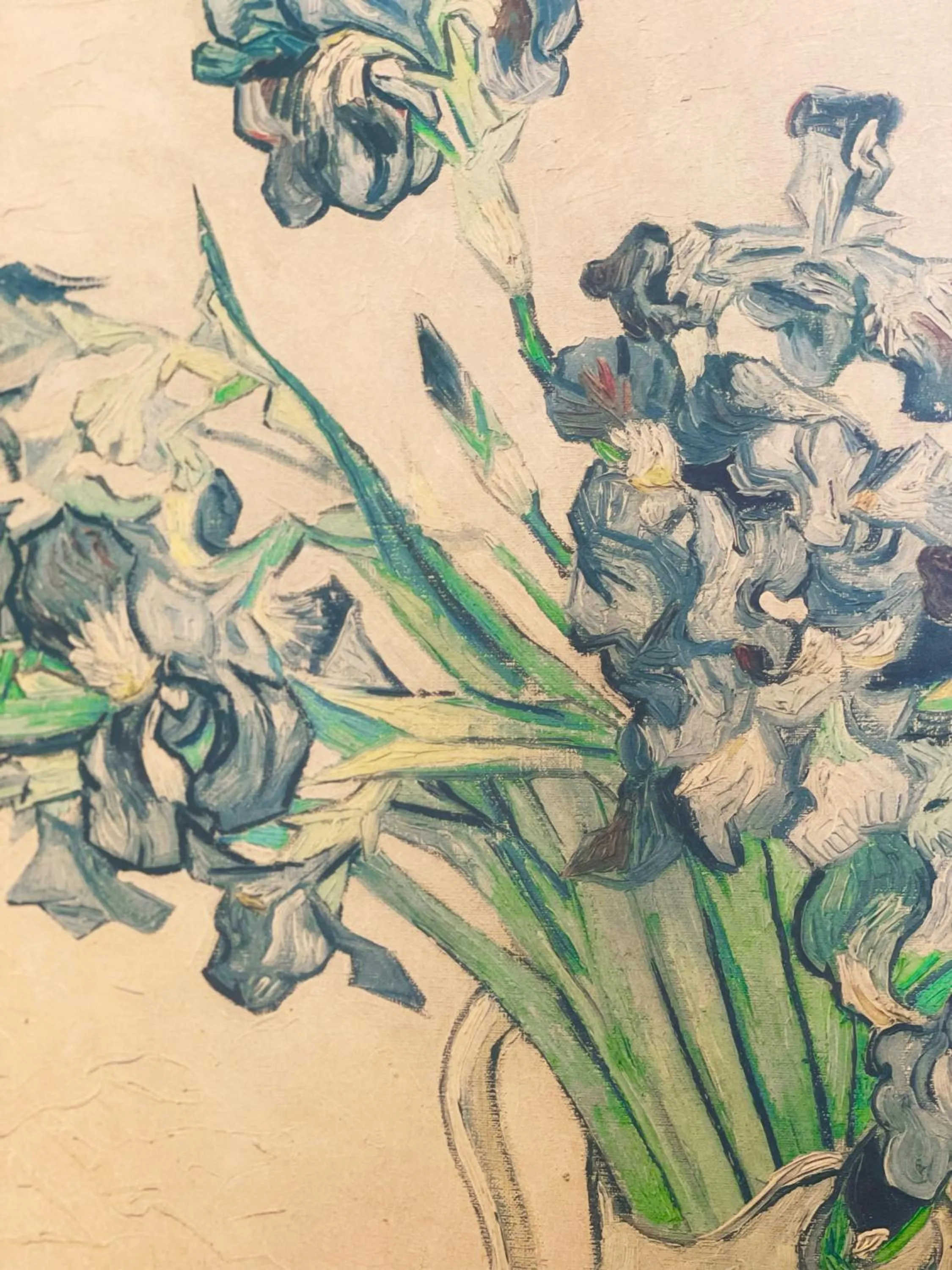 Grotto Flora B&B Chambres de charme